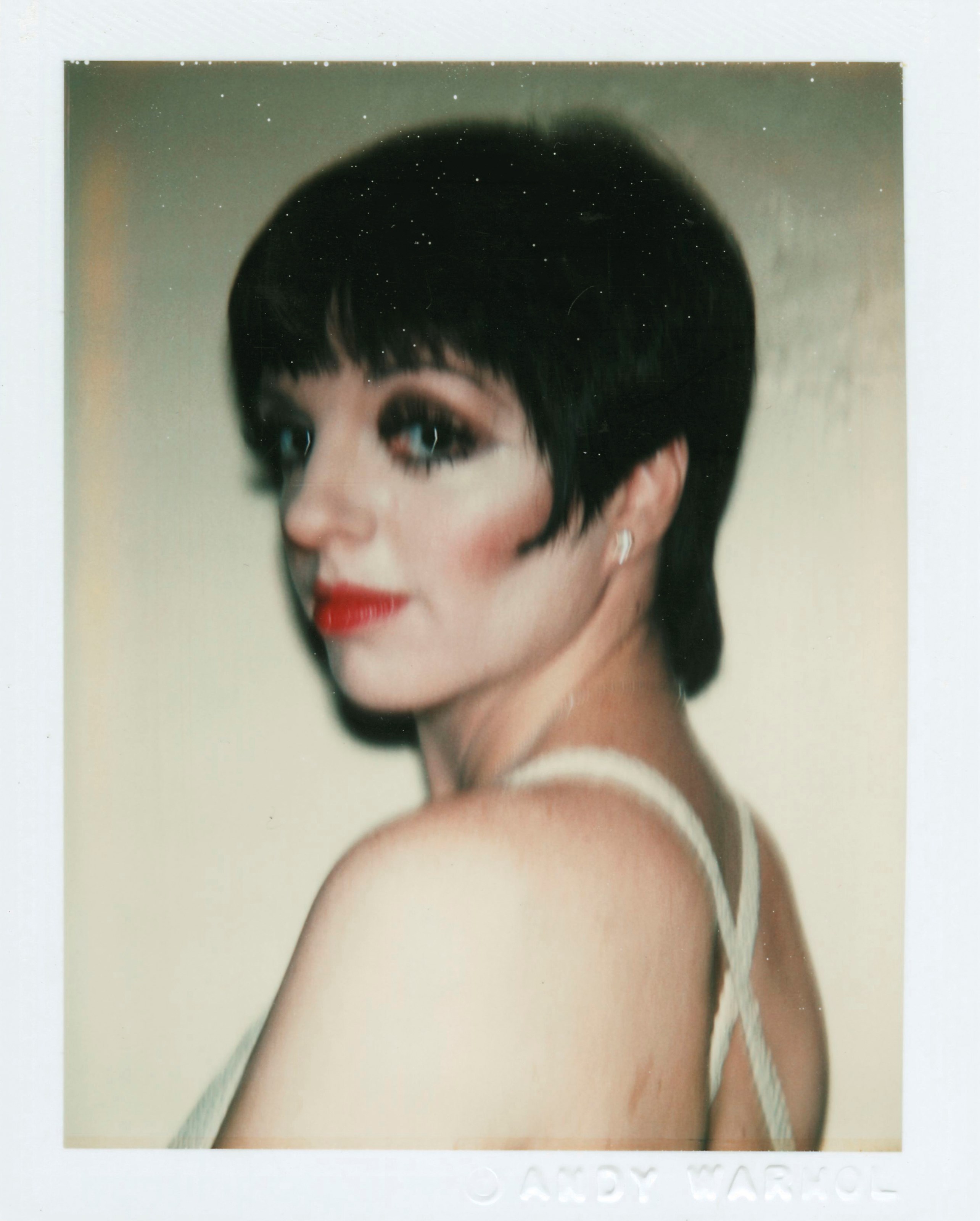 ANDY WARHOL (1928-1987)
