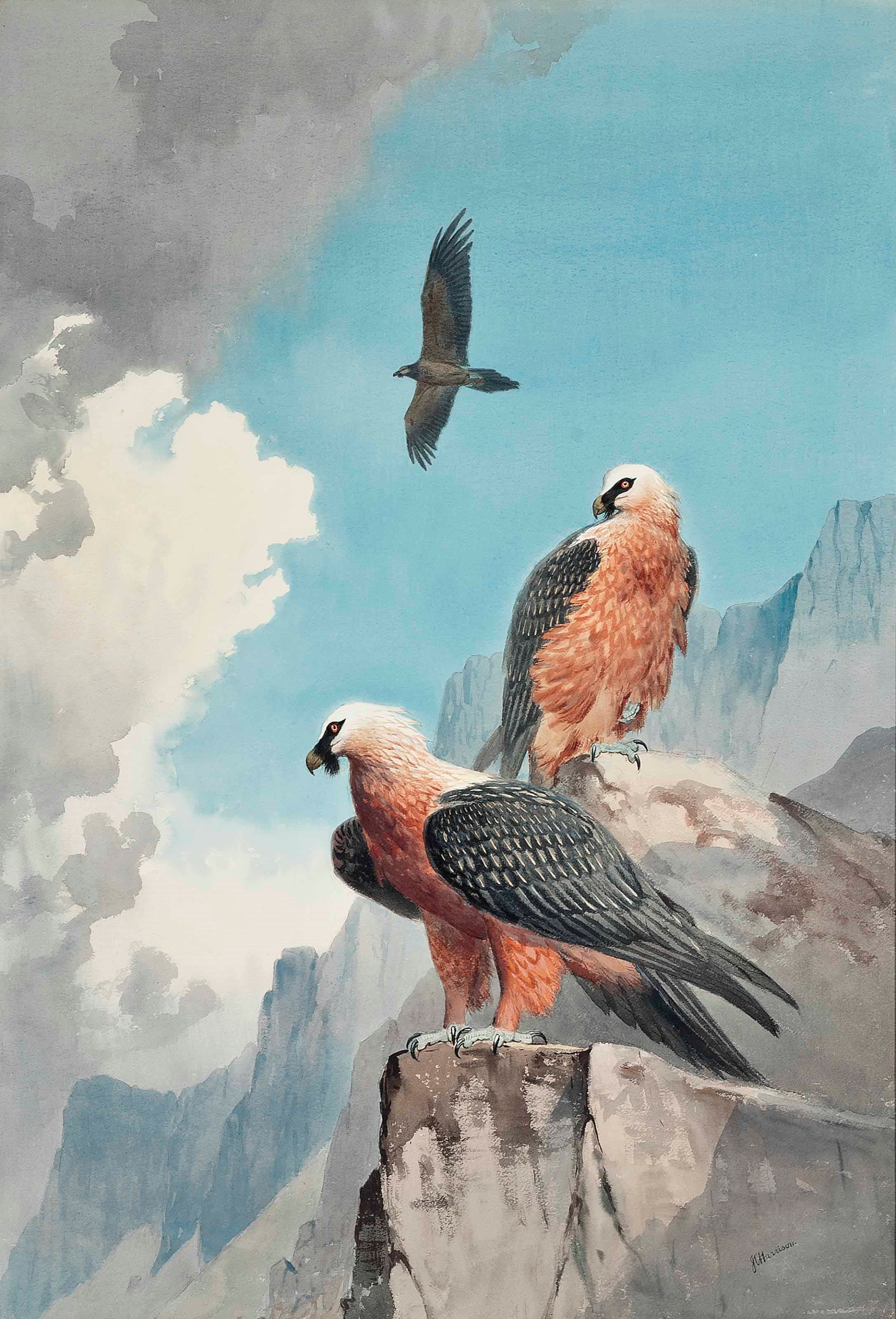 John Cyril Harrison (1898-1985)