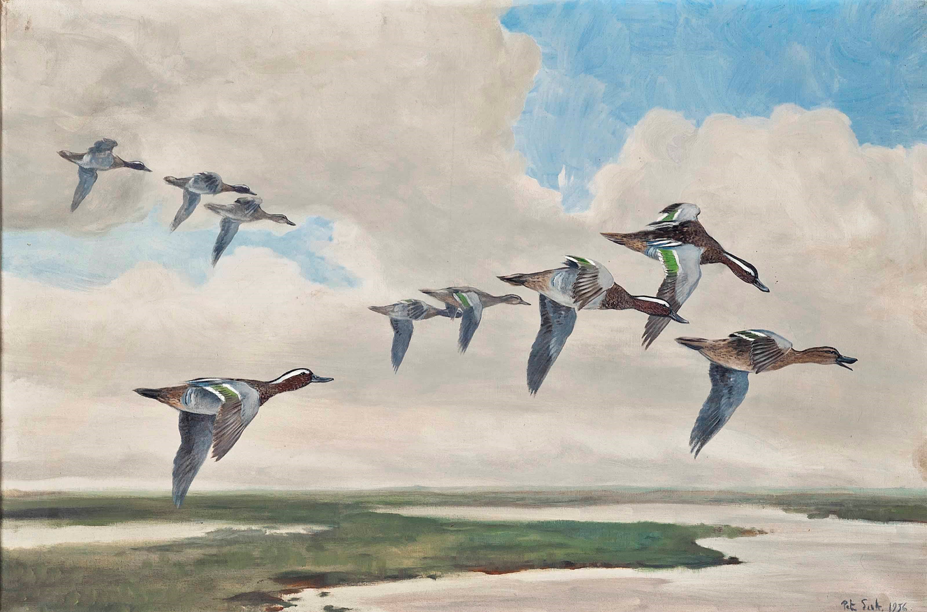 Sir Peter Markham Scott (1909-1989)