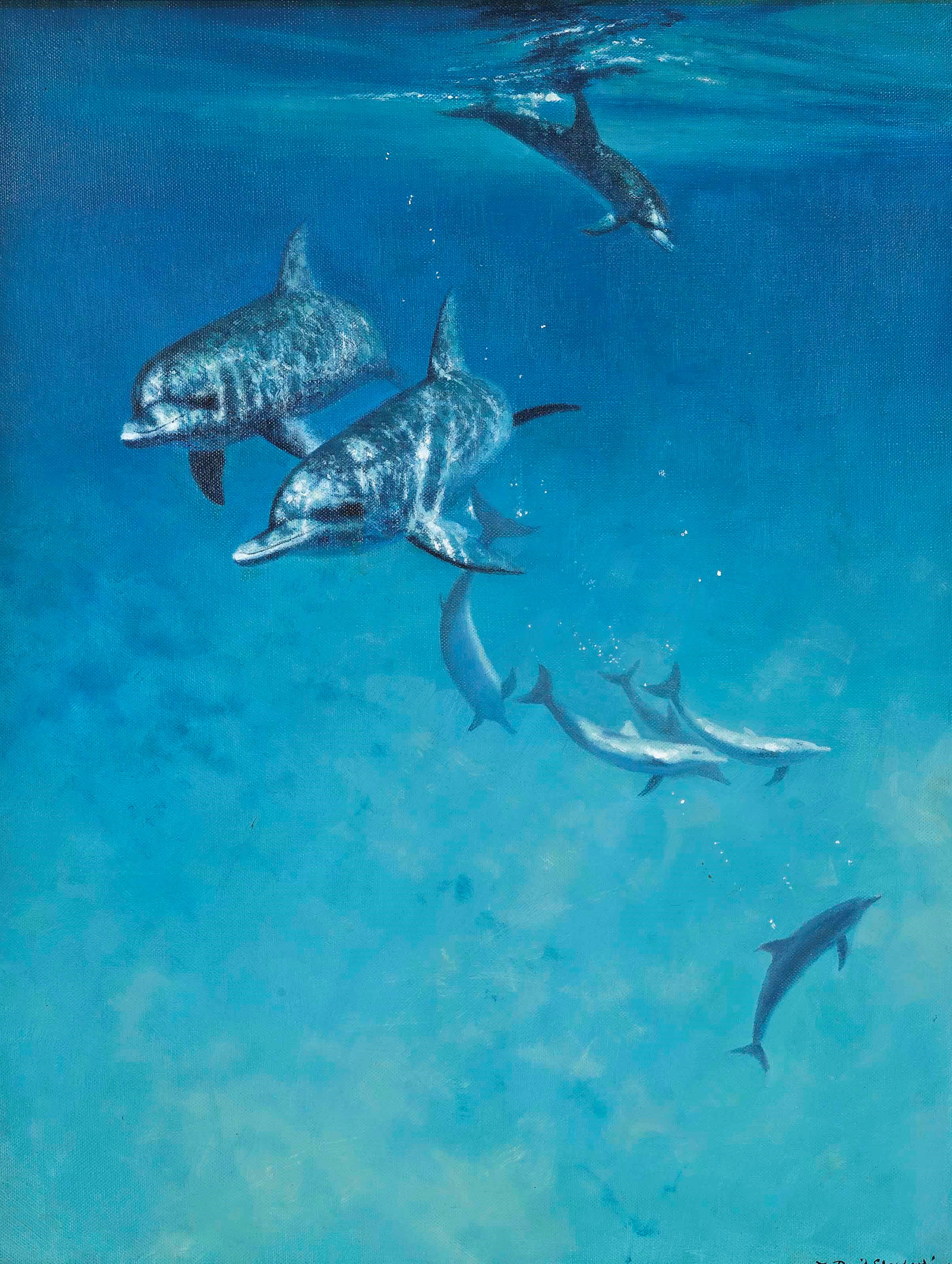 David Shepherd (b. 1930)