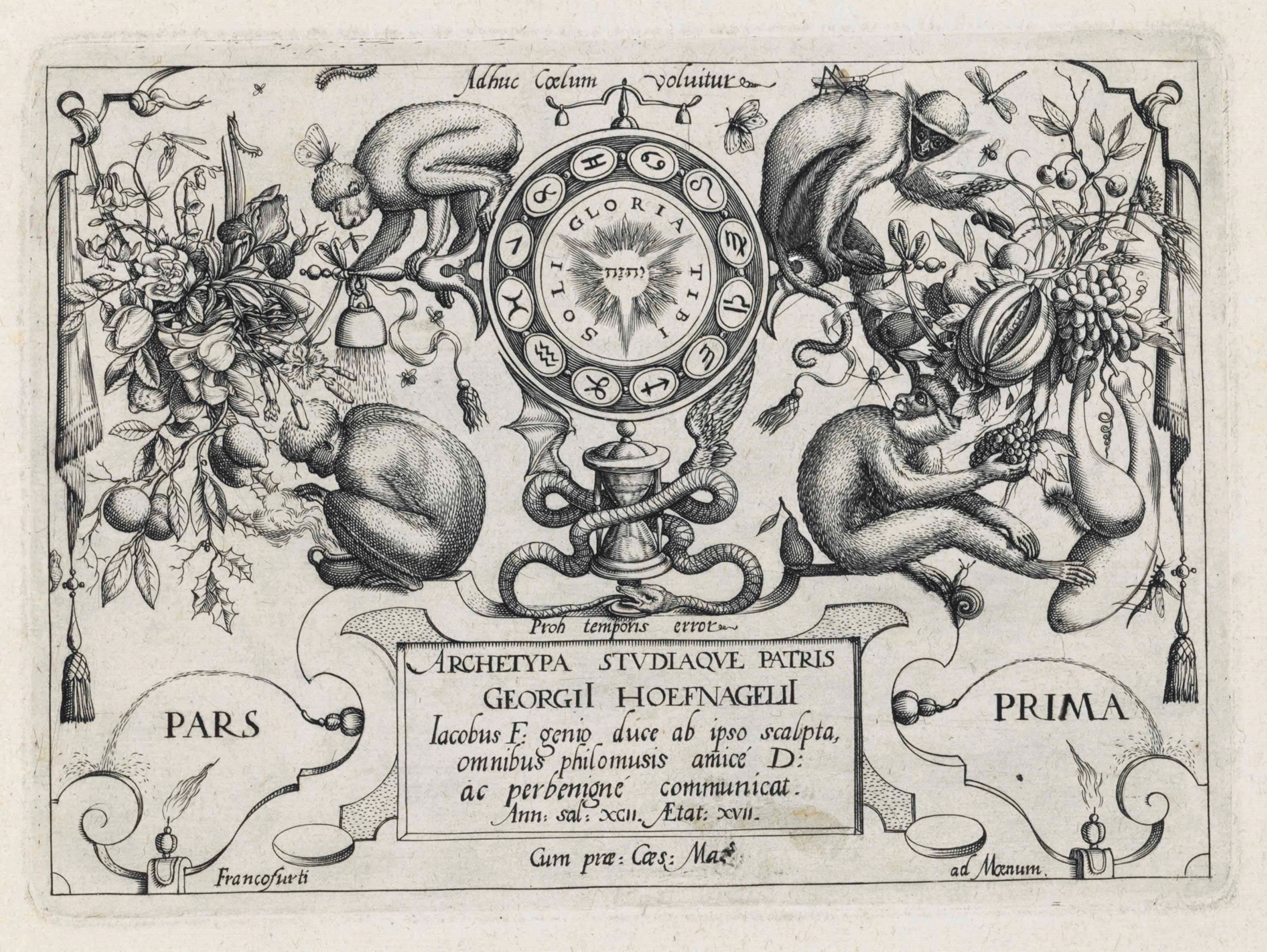 HOEFNAGEL, Joris (1542 - 1601).