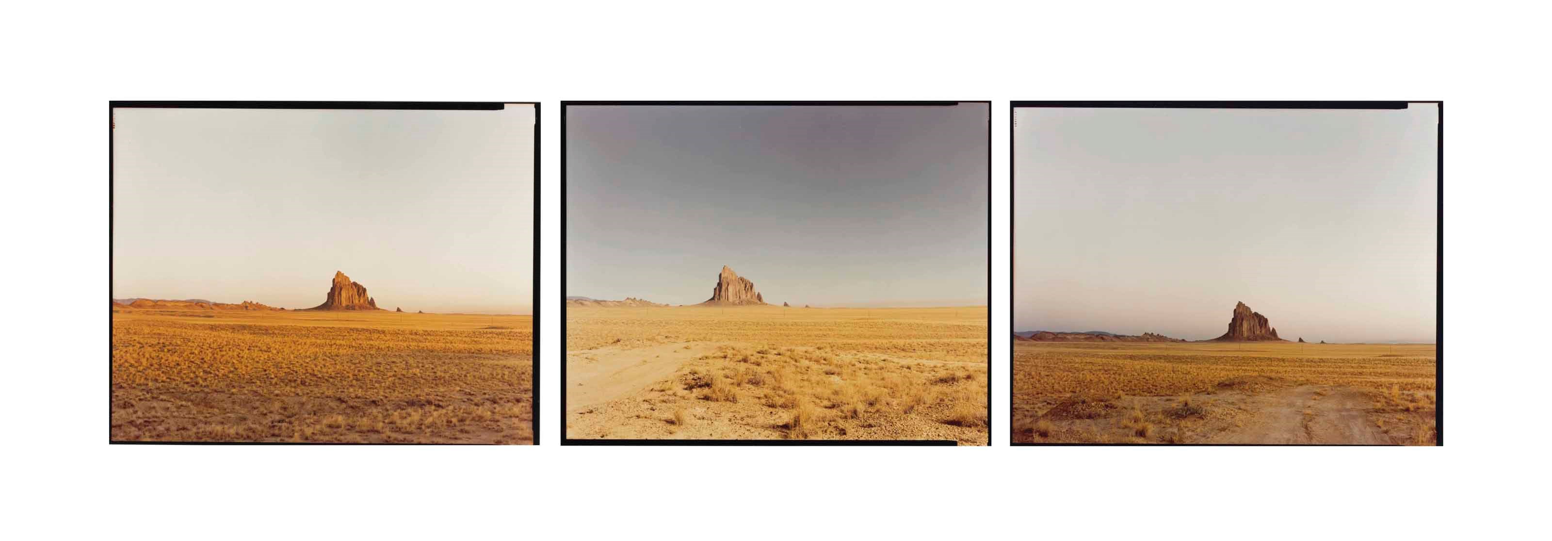 Richard Misrach (b. 1949)