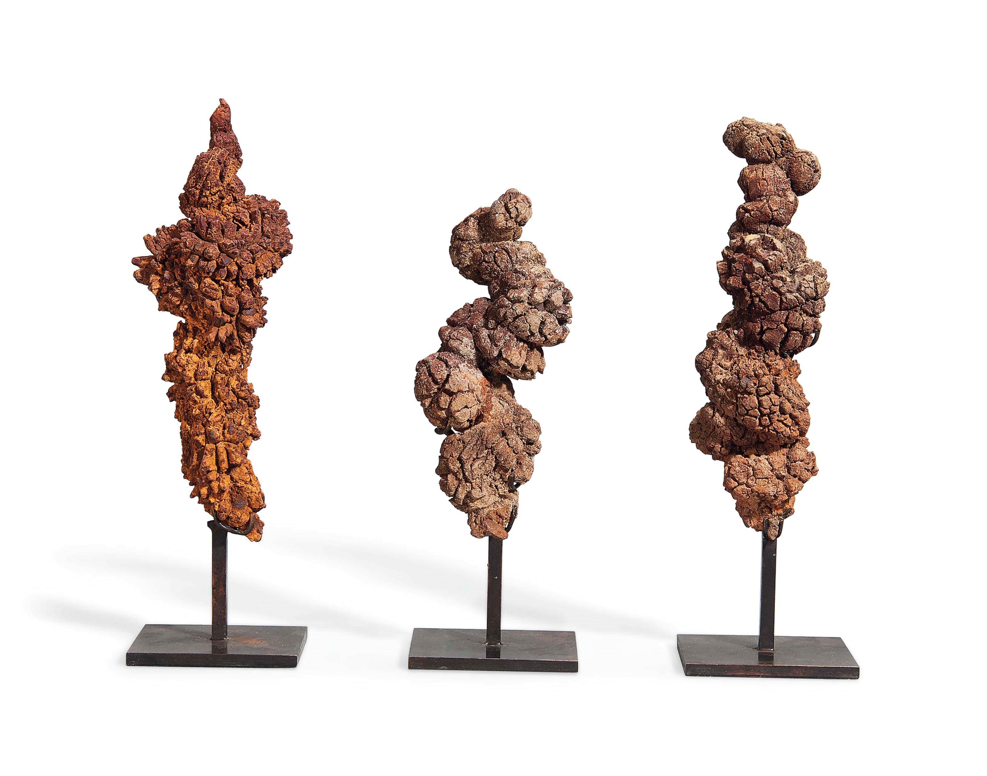 THREE SPECIMENS OF COPROLITE