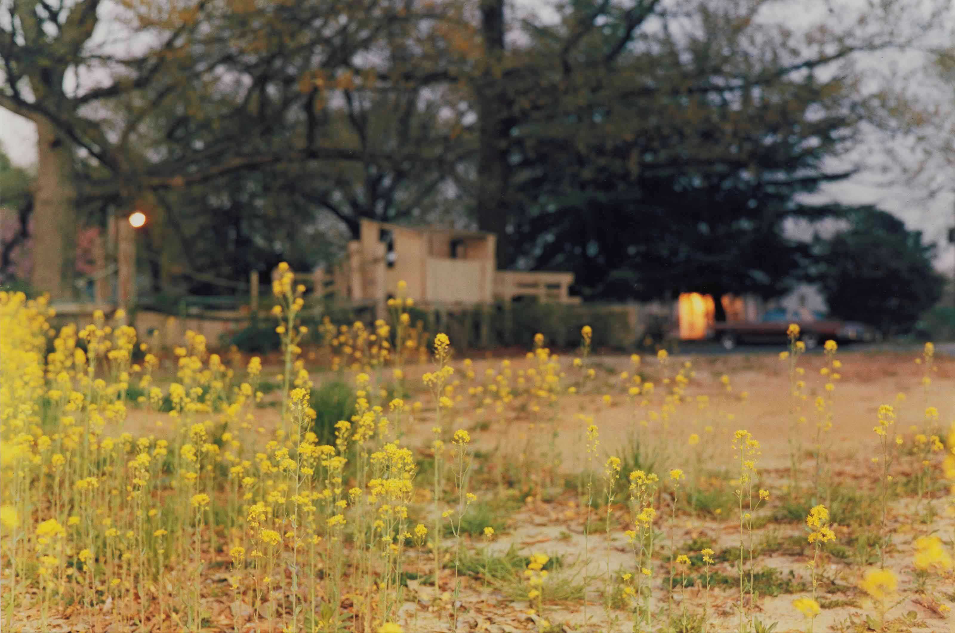 WILLIAM EGGLESTON (B. 1939)