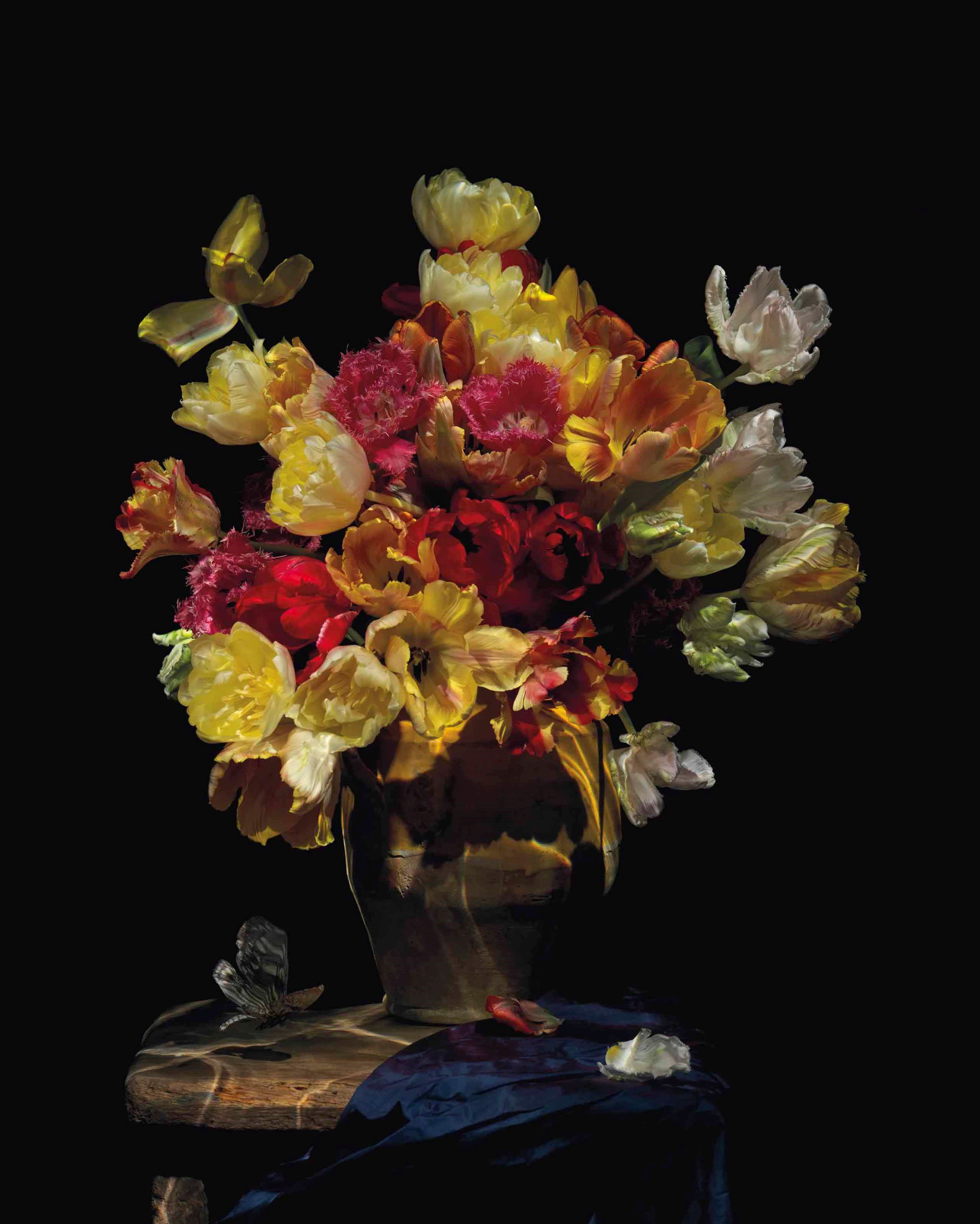 ALEXANDER JAMES (b. 1967)
