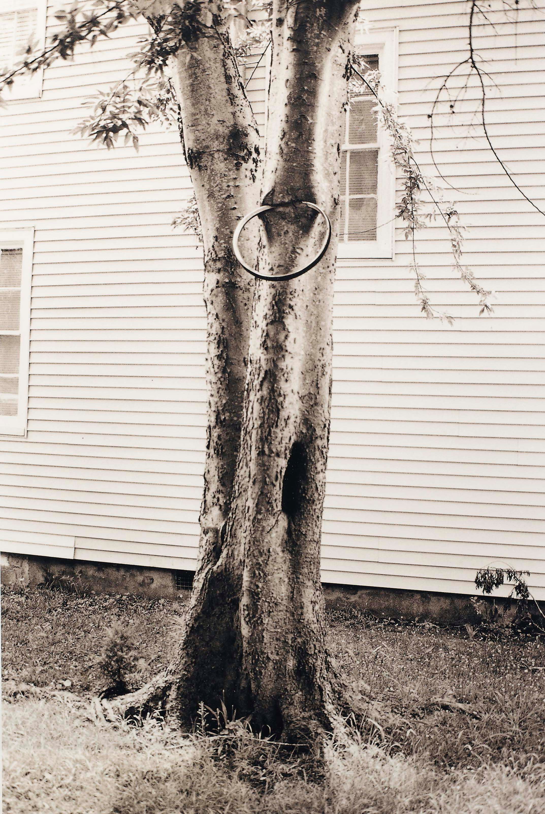 David Hammons (b. 1943)
