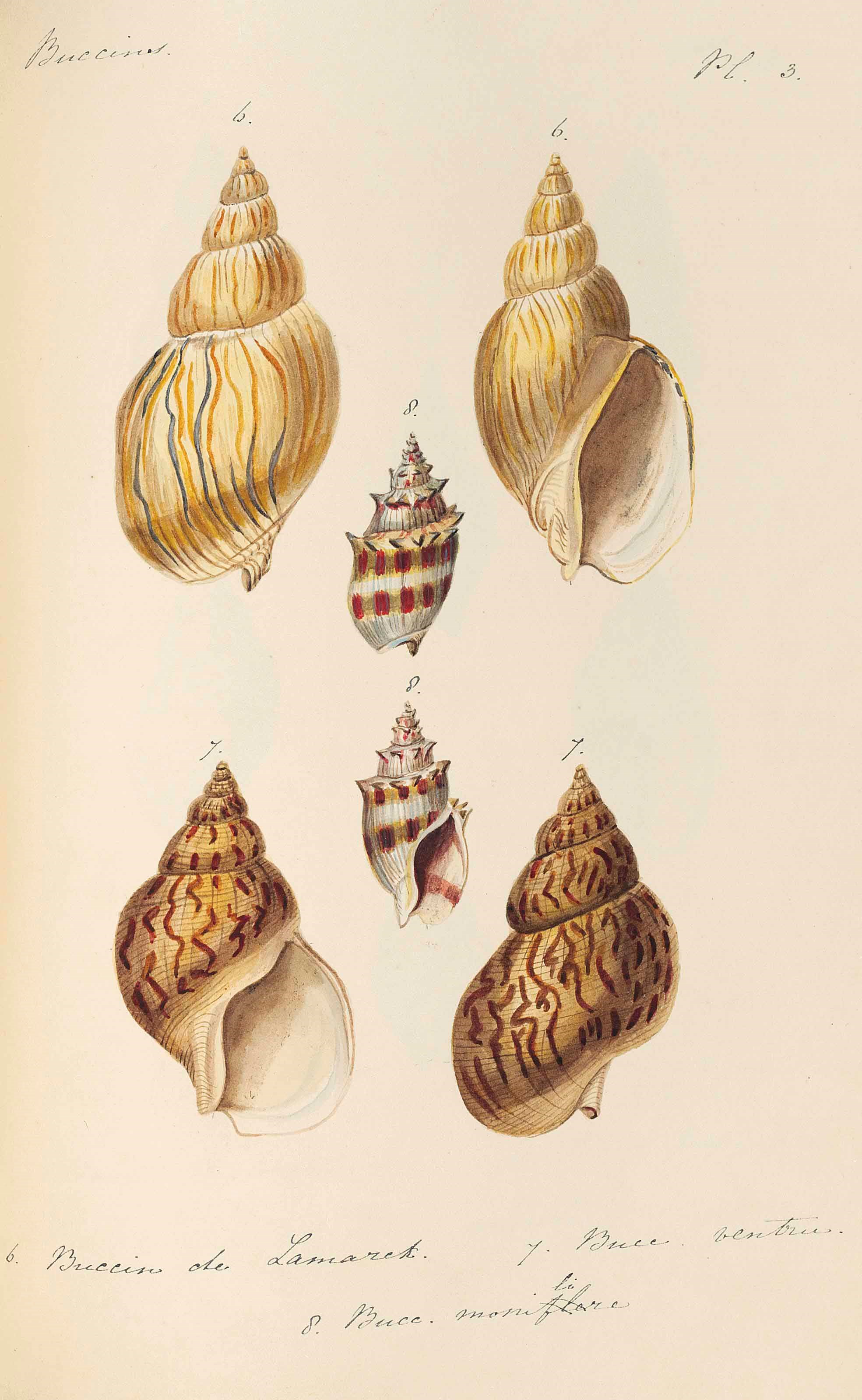 attributed to LOUIS-CHARLES KIENER (1799-1881)