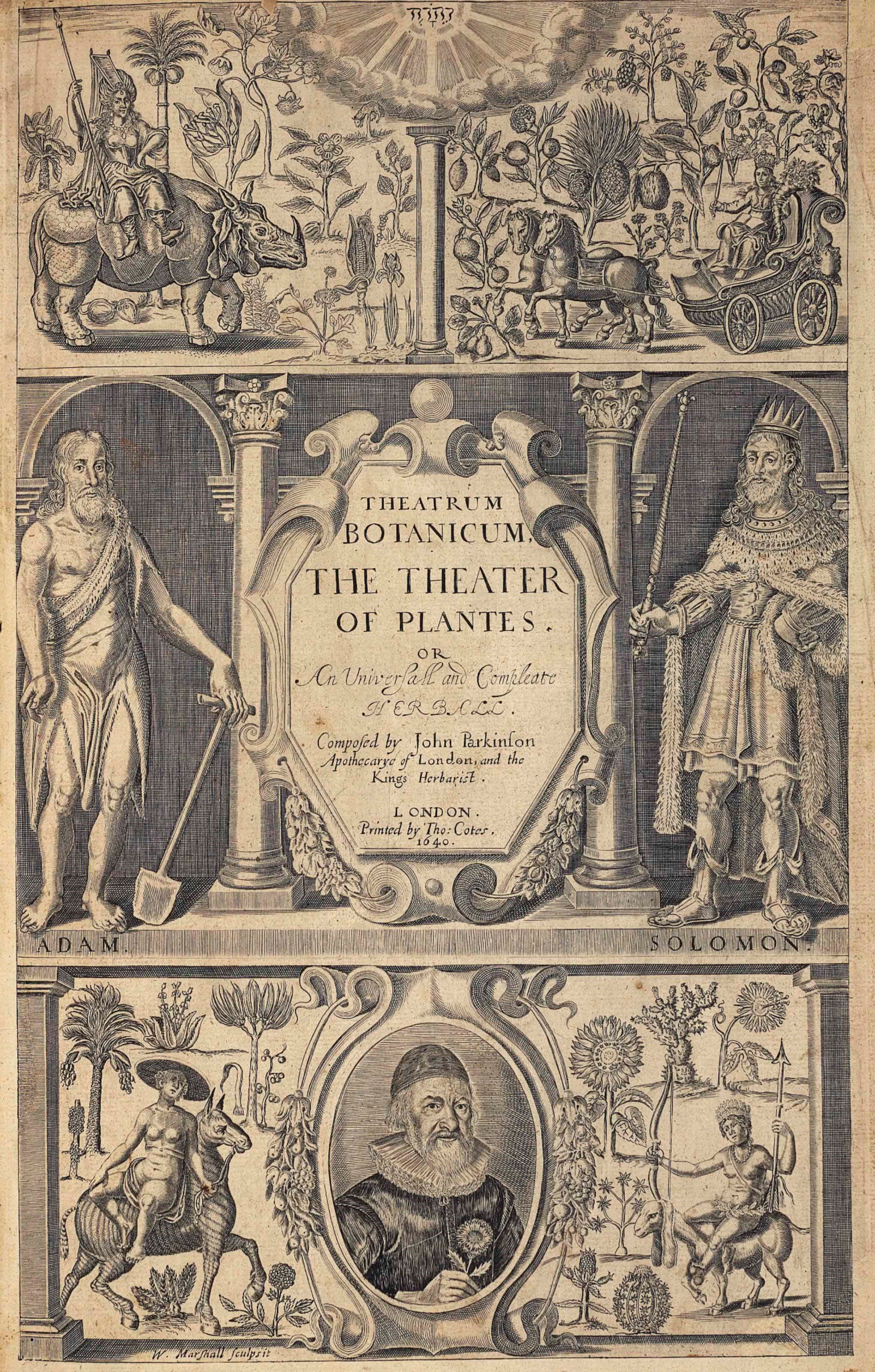 JOHN PARKINSON (1576-1650)