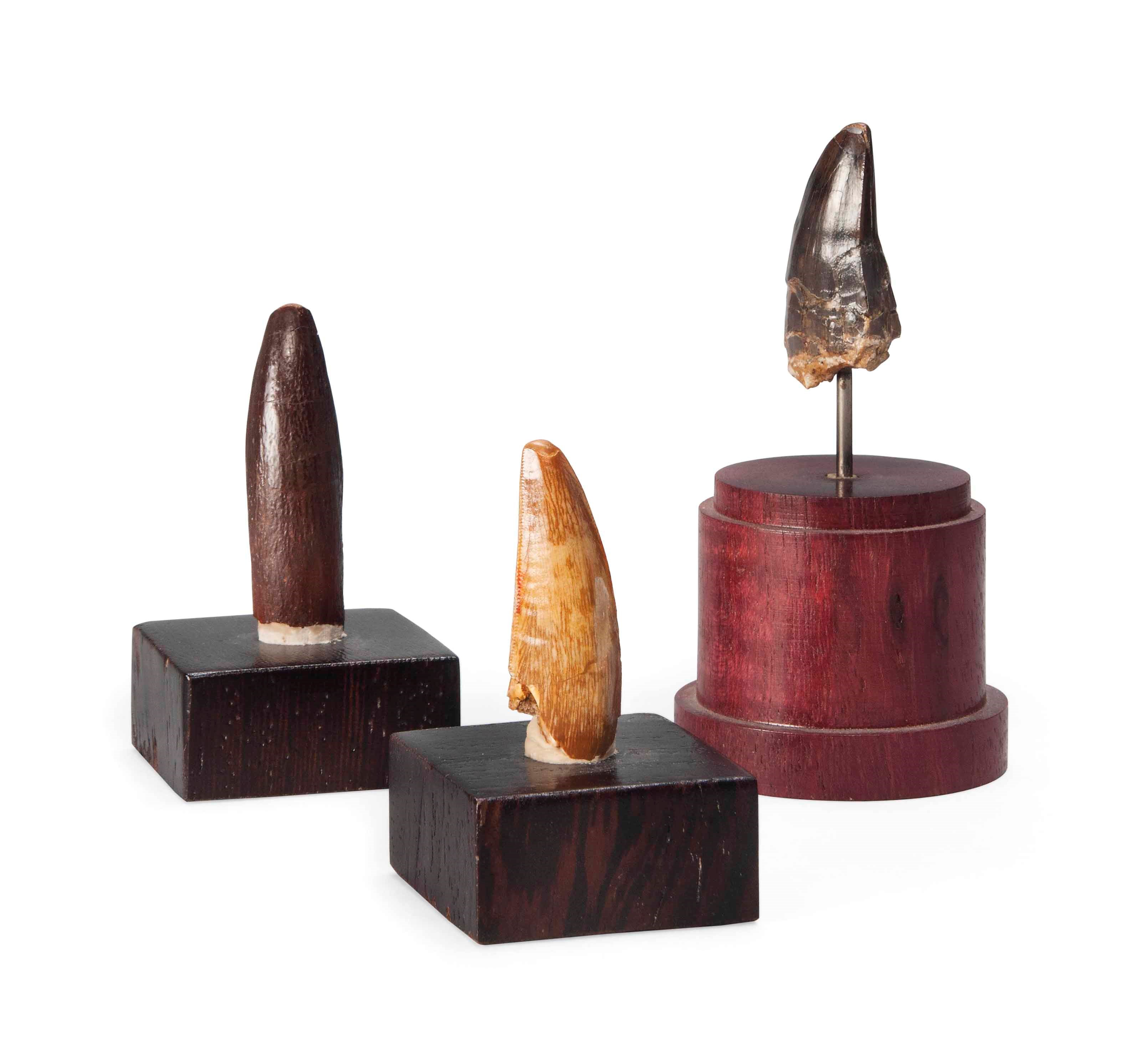 THREE CRETACEOUS TEETH