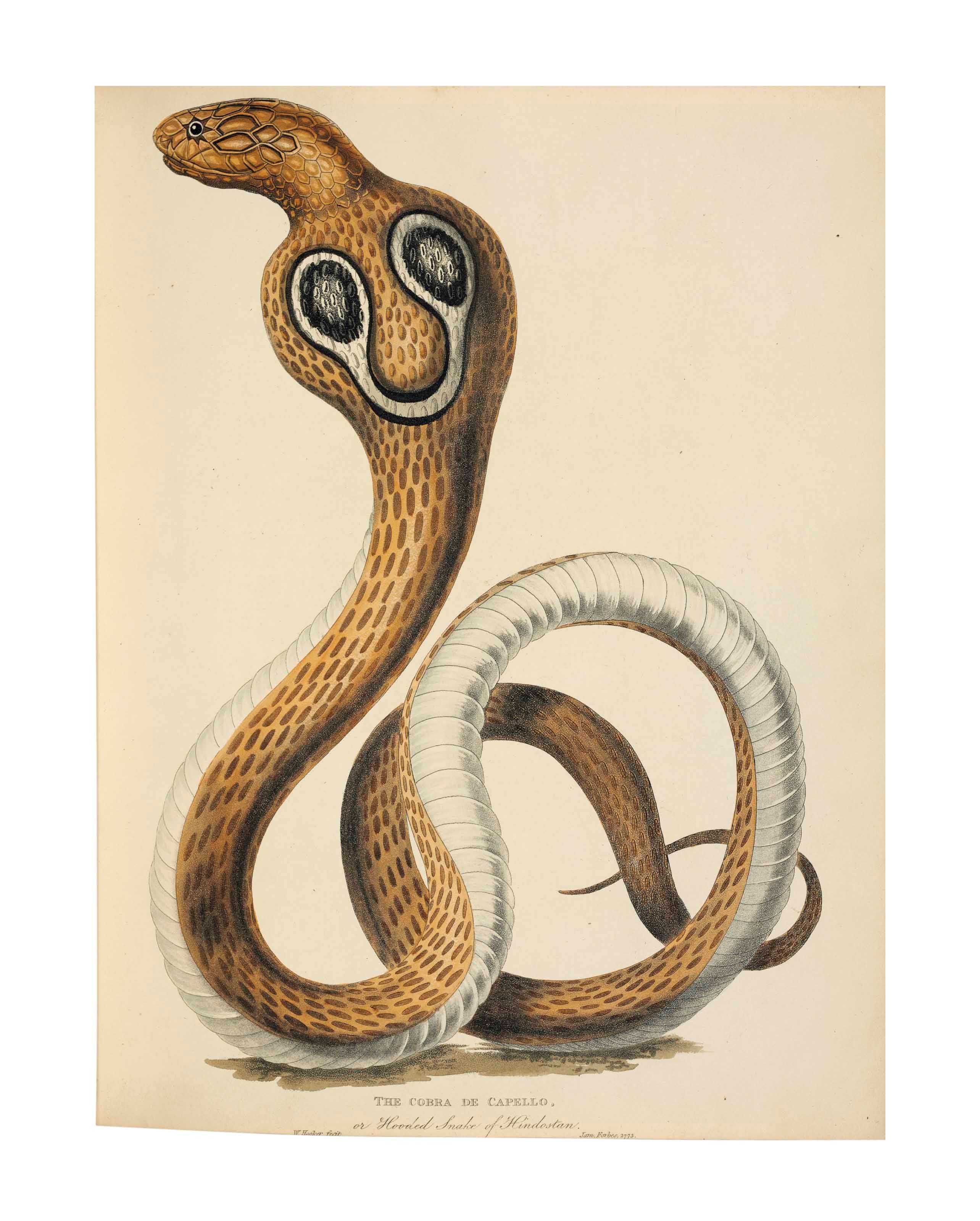JAMES FORBES (1749-1819)
