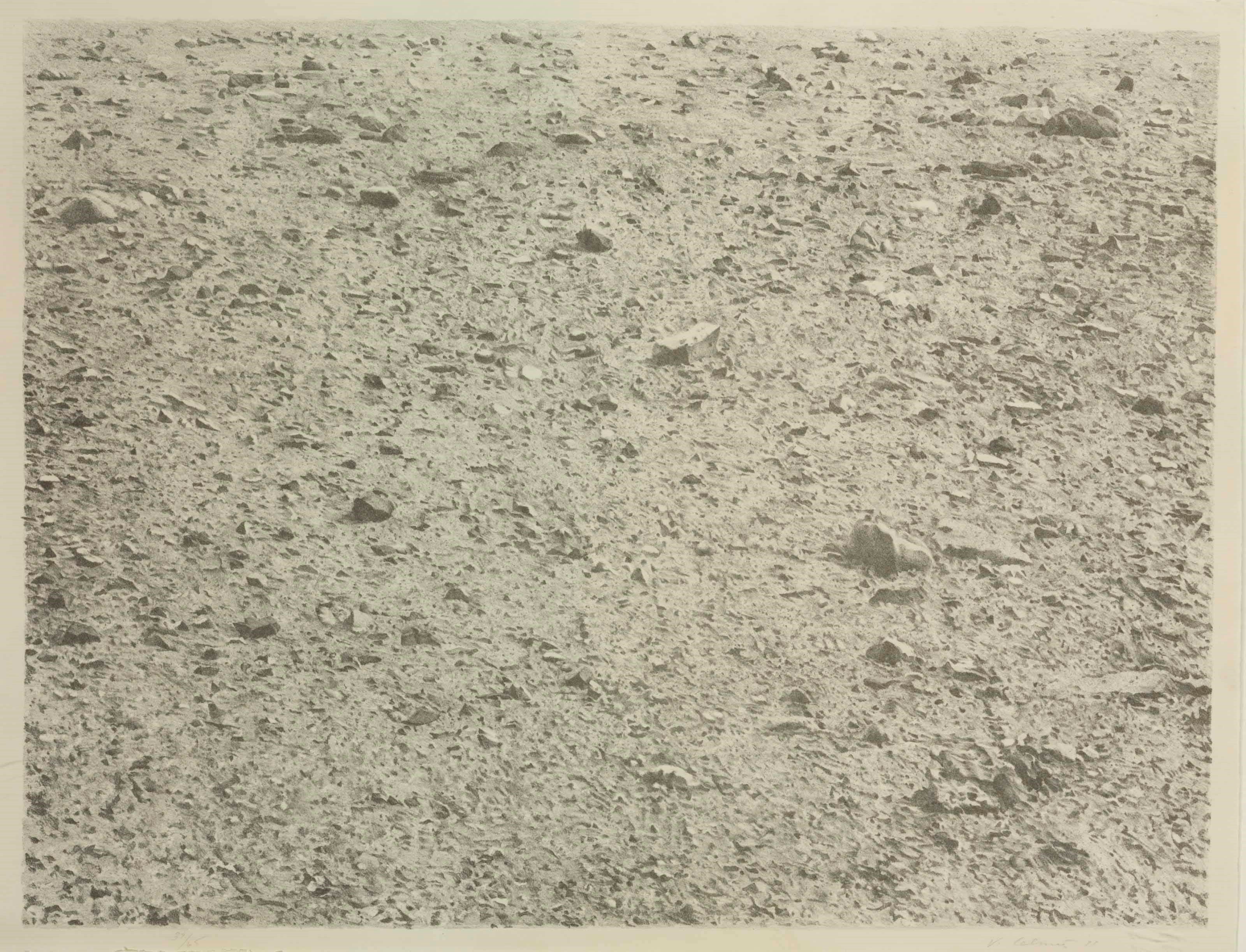 VIJA CELMINS (b. 1939)