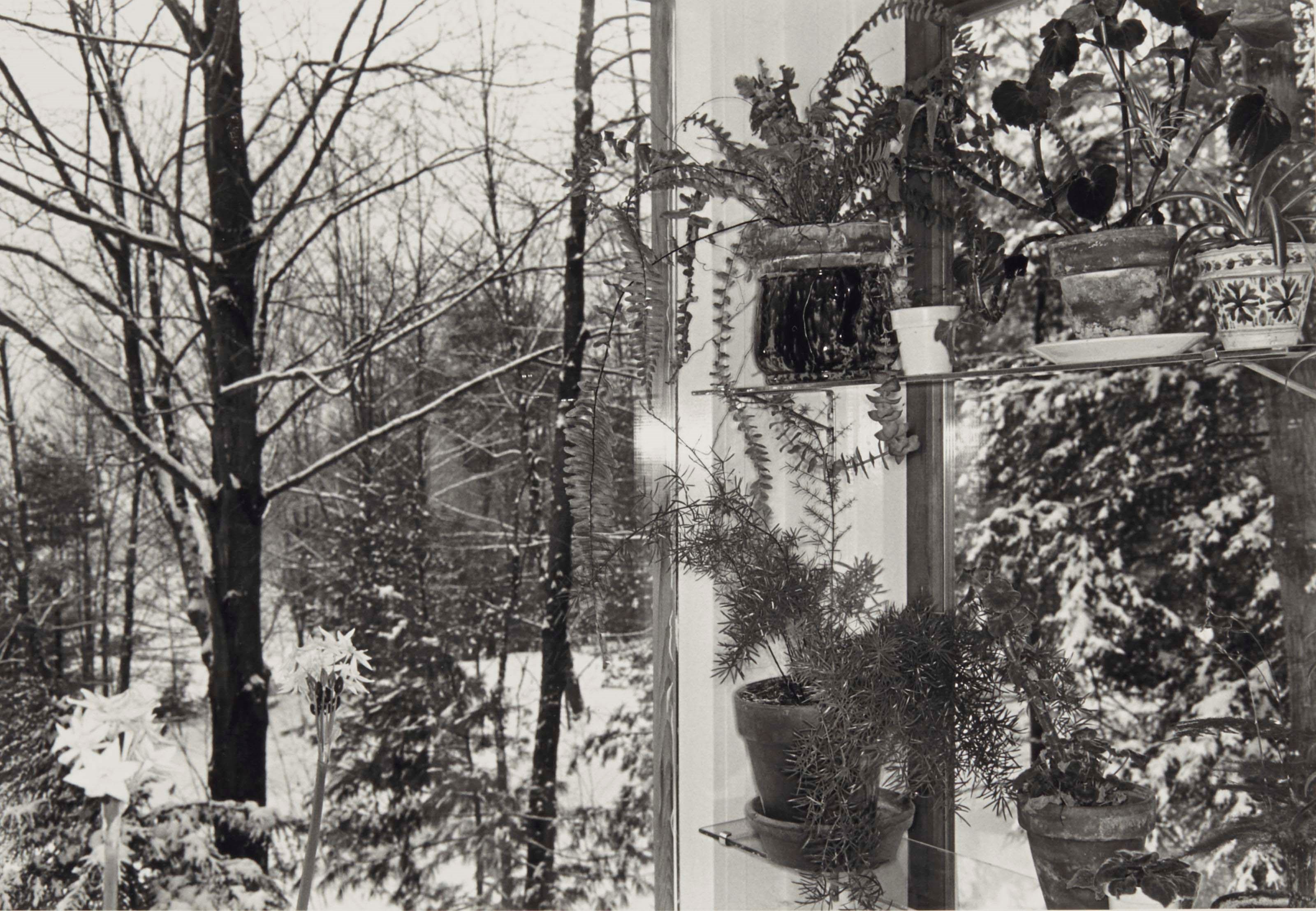 LEE FRIEDLANDER (NÉ EN 1934)