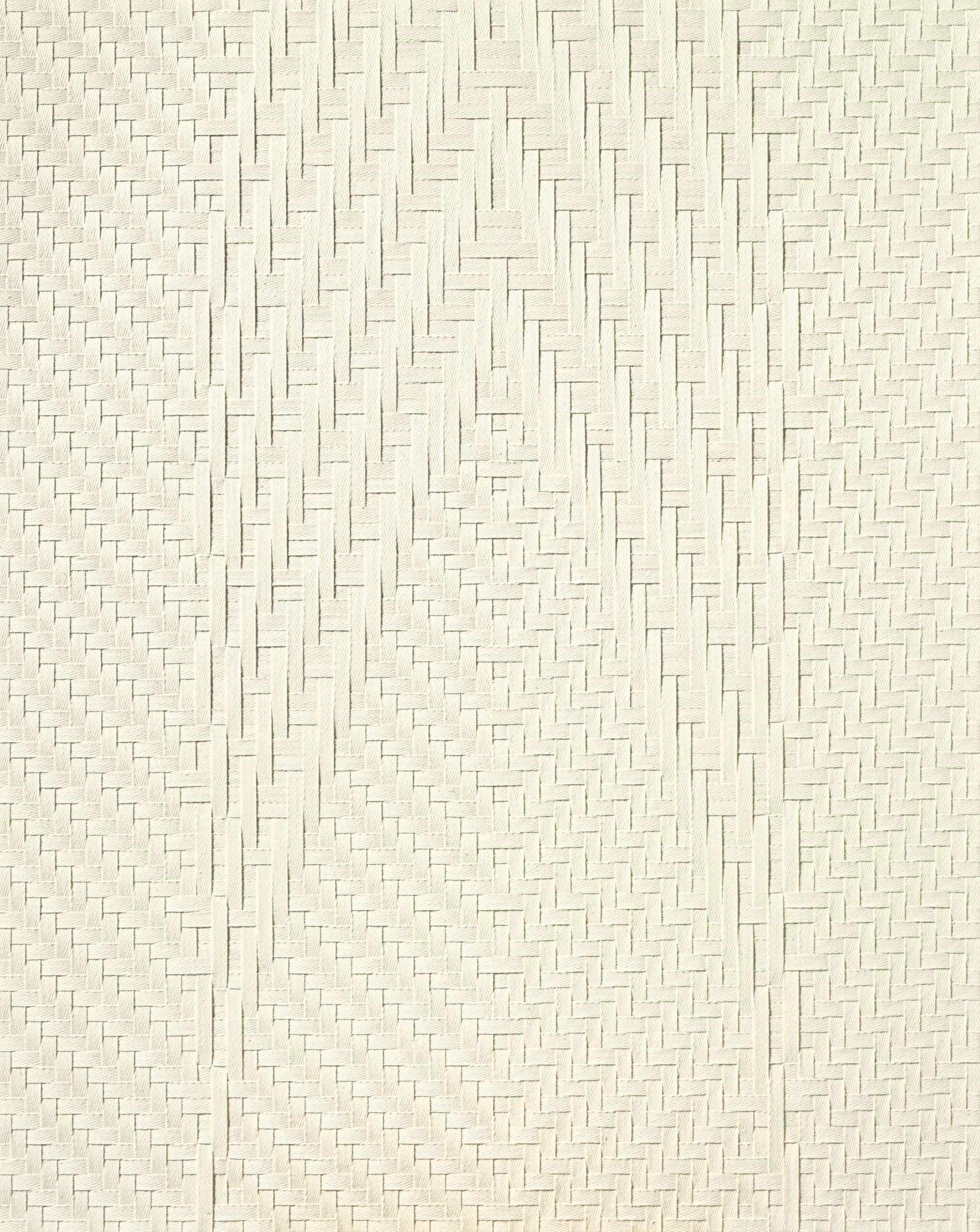 Tauba Auerbach (b. 1981)