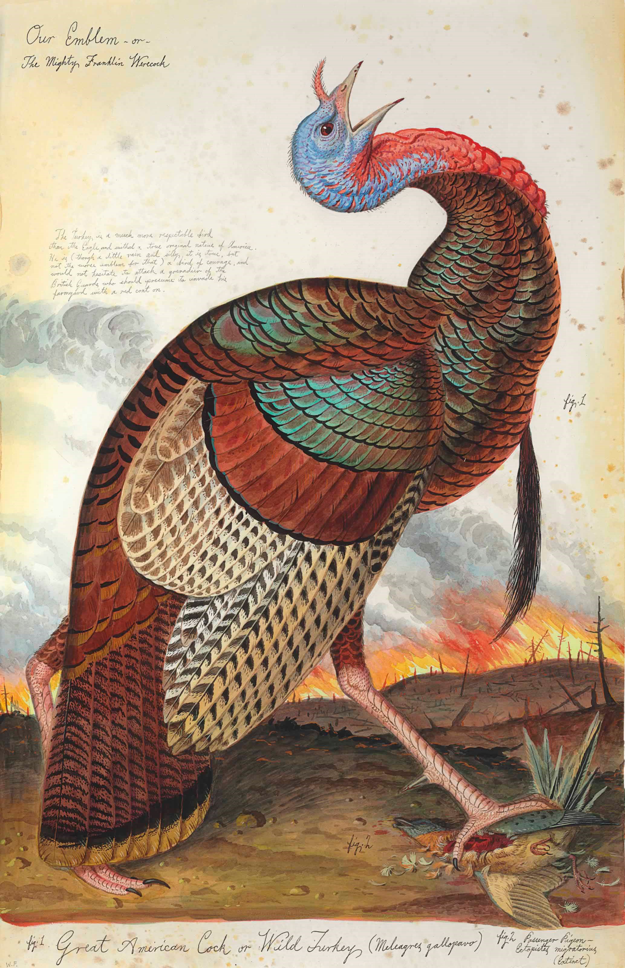 Walton Ford (b. 1960)