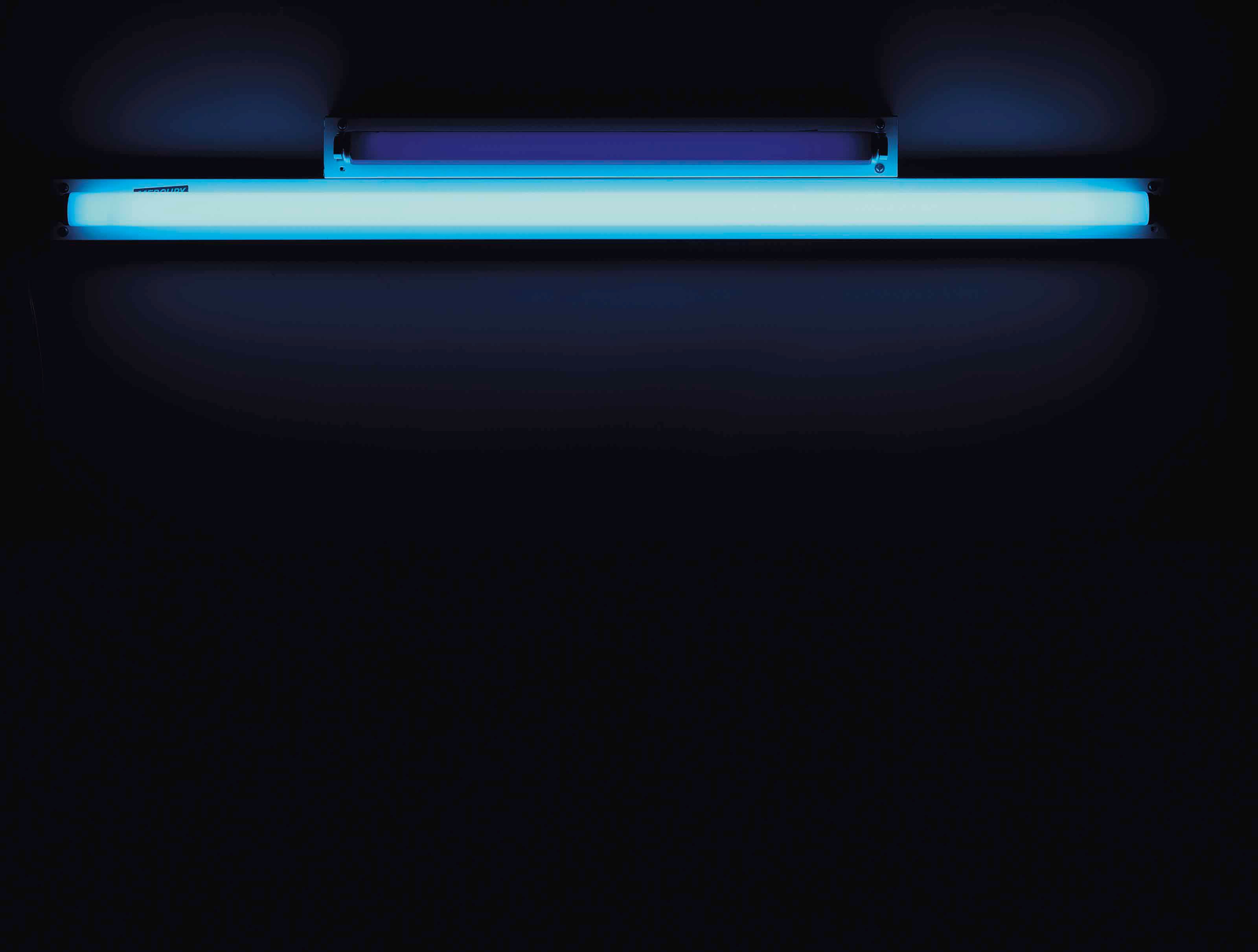 Dan Flavin (1933-1996)