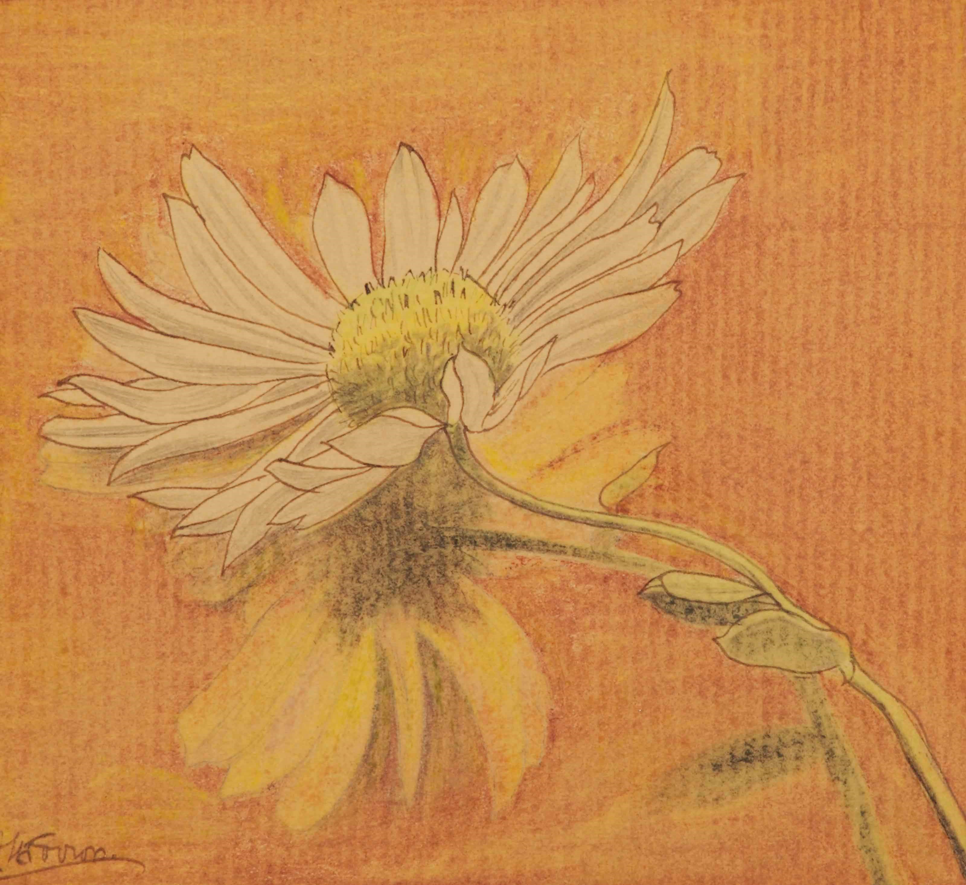 Jan Toorop (1858-1928)