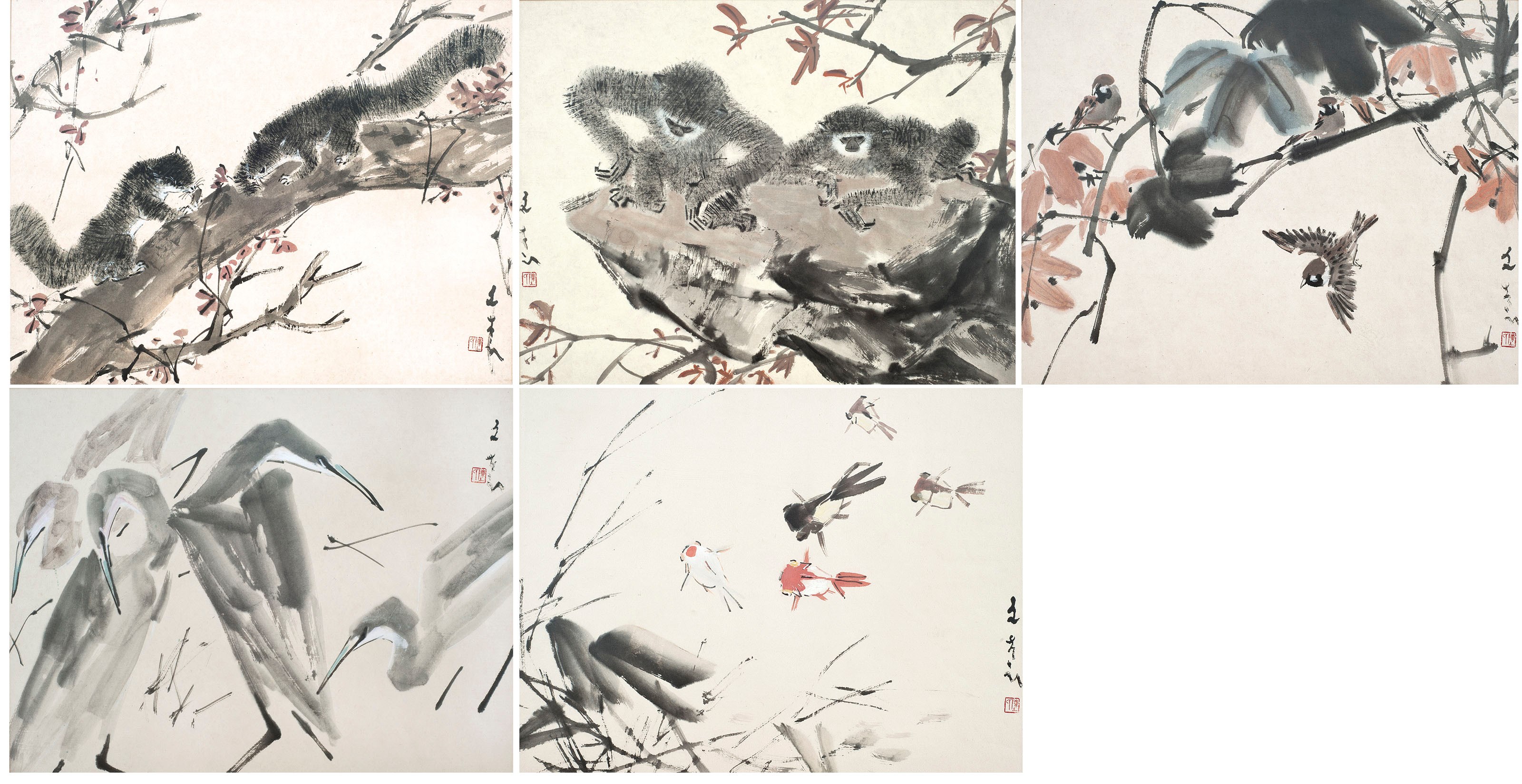 长臂猿; 鱼；鸟；松鼠；及苍鹭