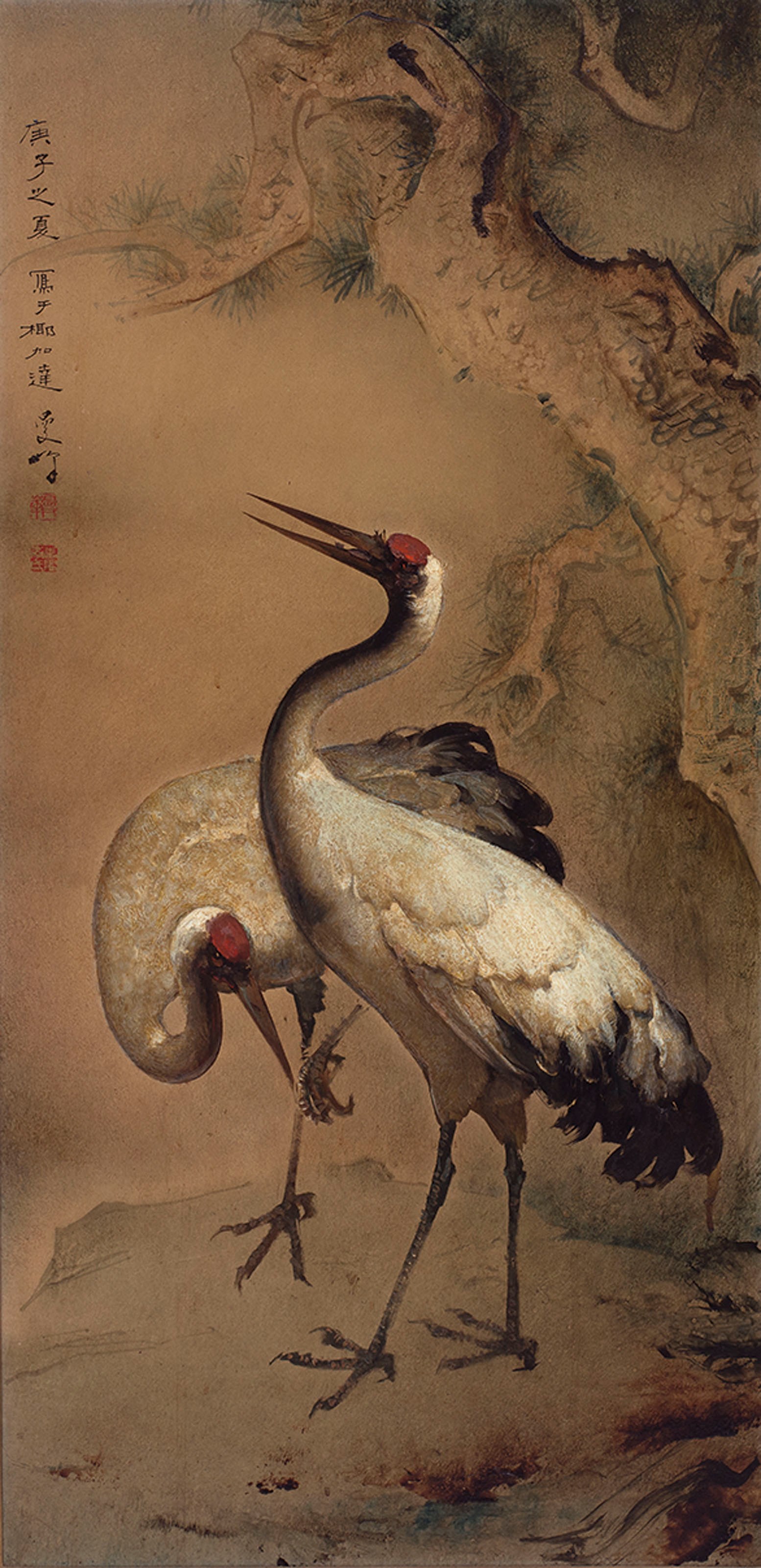 长寿鹤