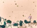 NIE OU (BORN 1948)