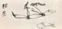 ZHANG DAQIAN (1899-1983)