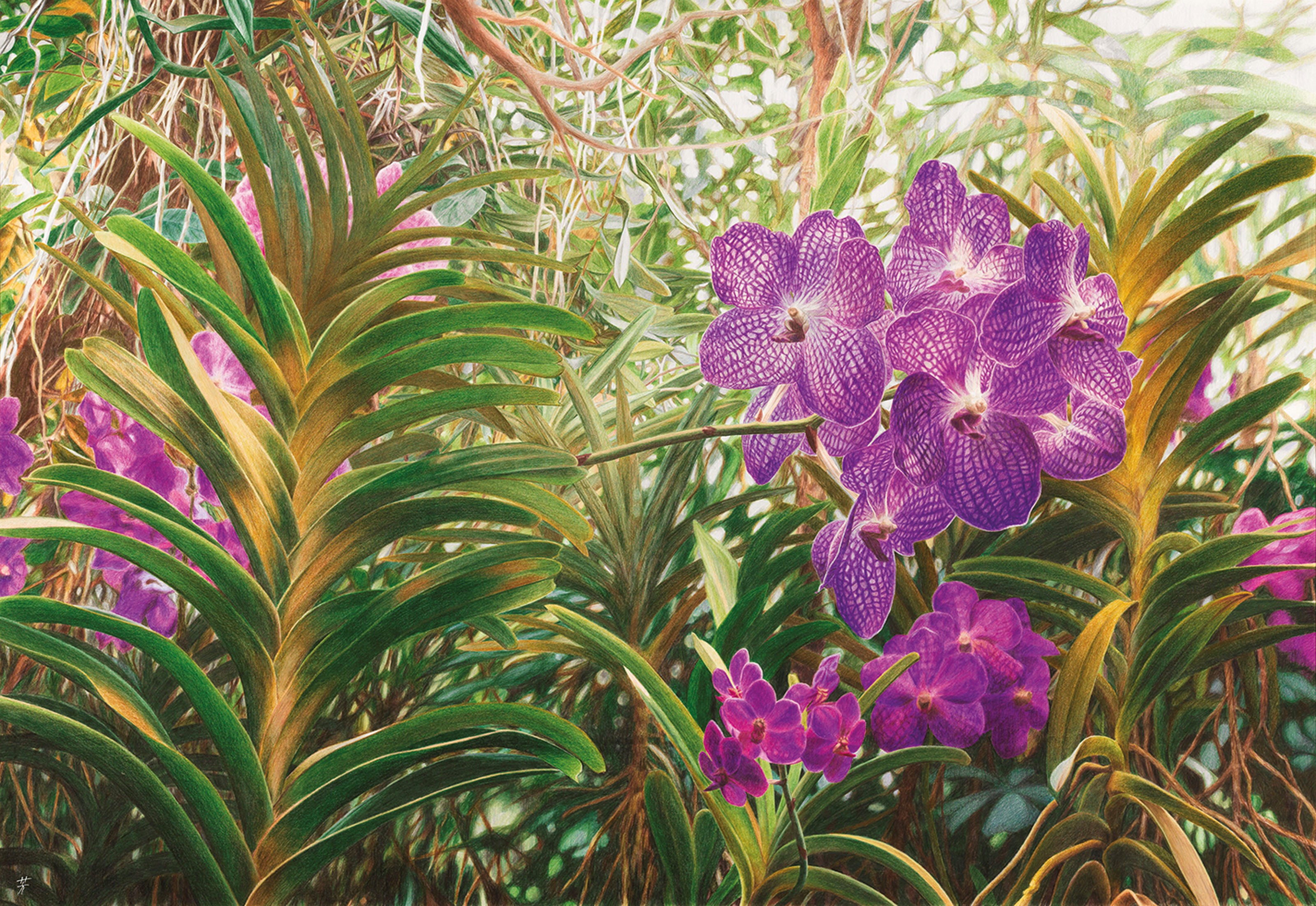 吉村芳生