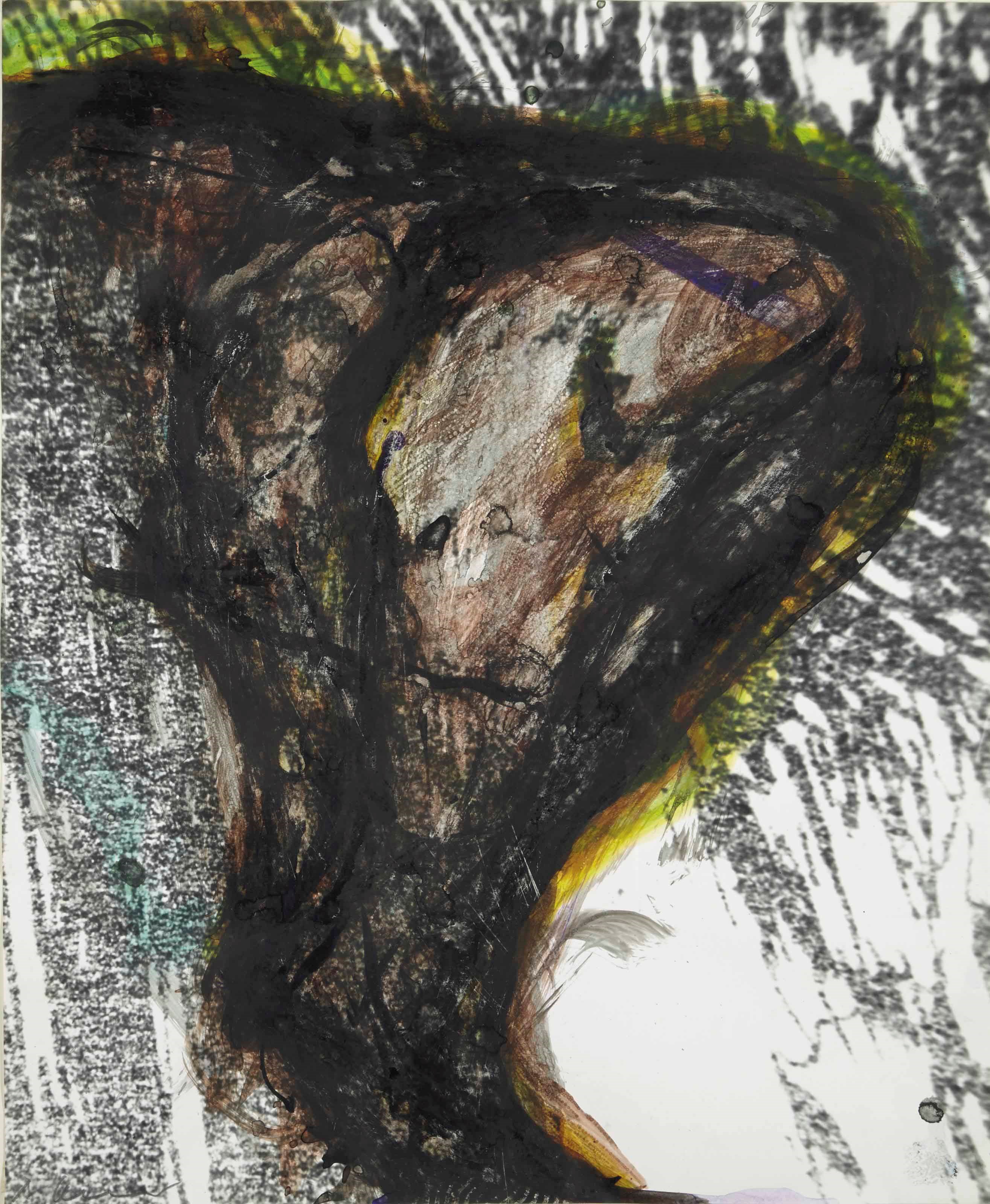 ARNULF RAINER (NÉ EN 1929)