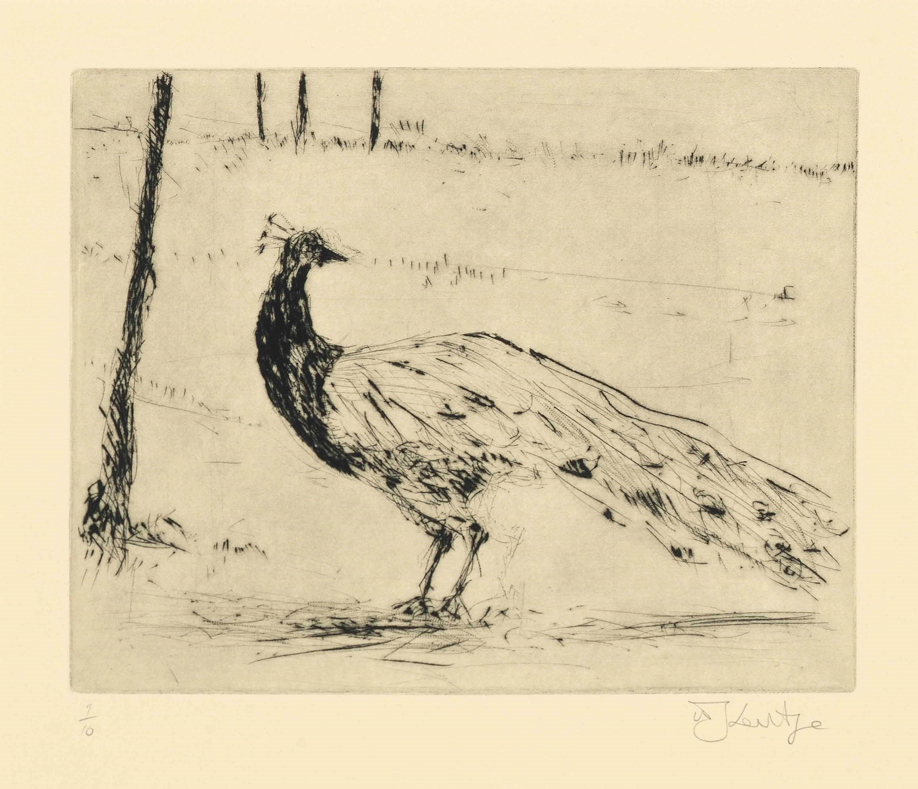 William Kentridge (b. 1955)