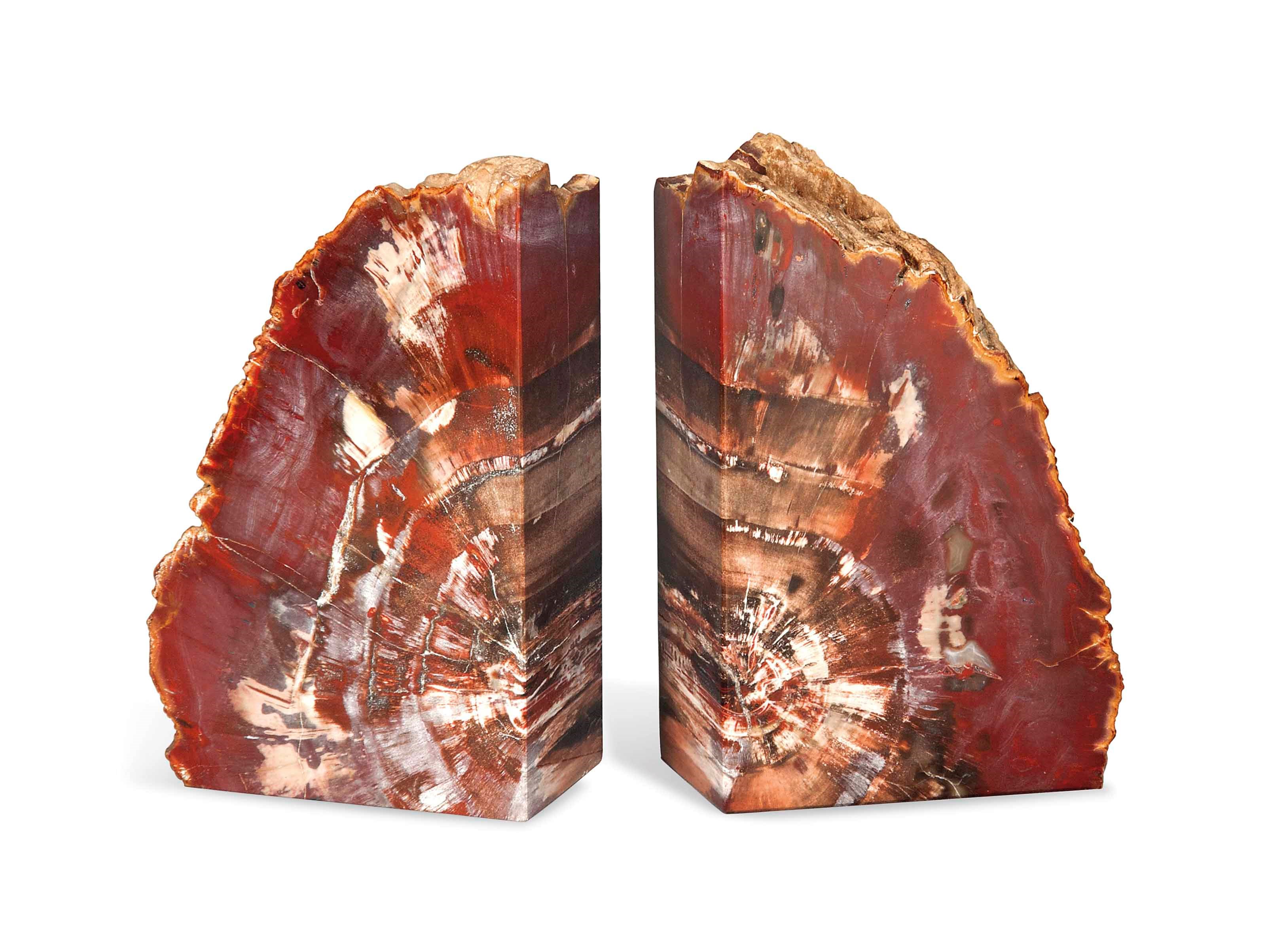 PETRIFIED WOOD BOOKENDS