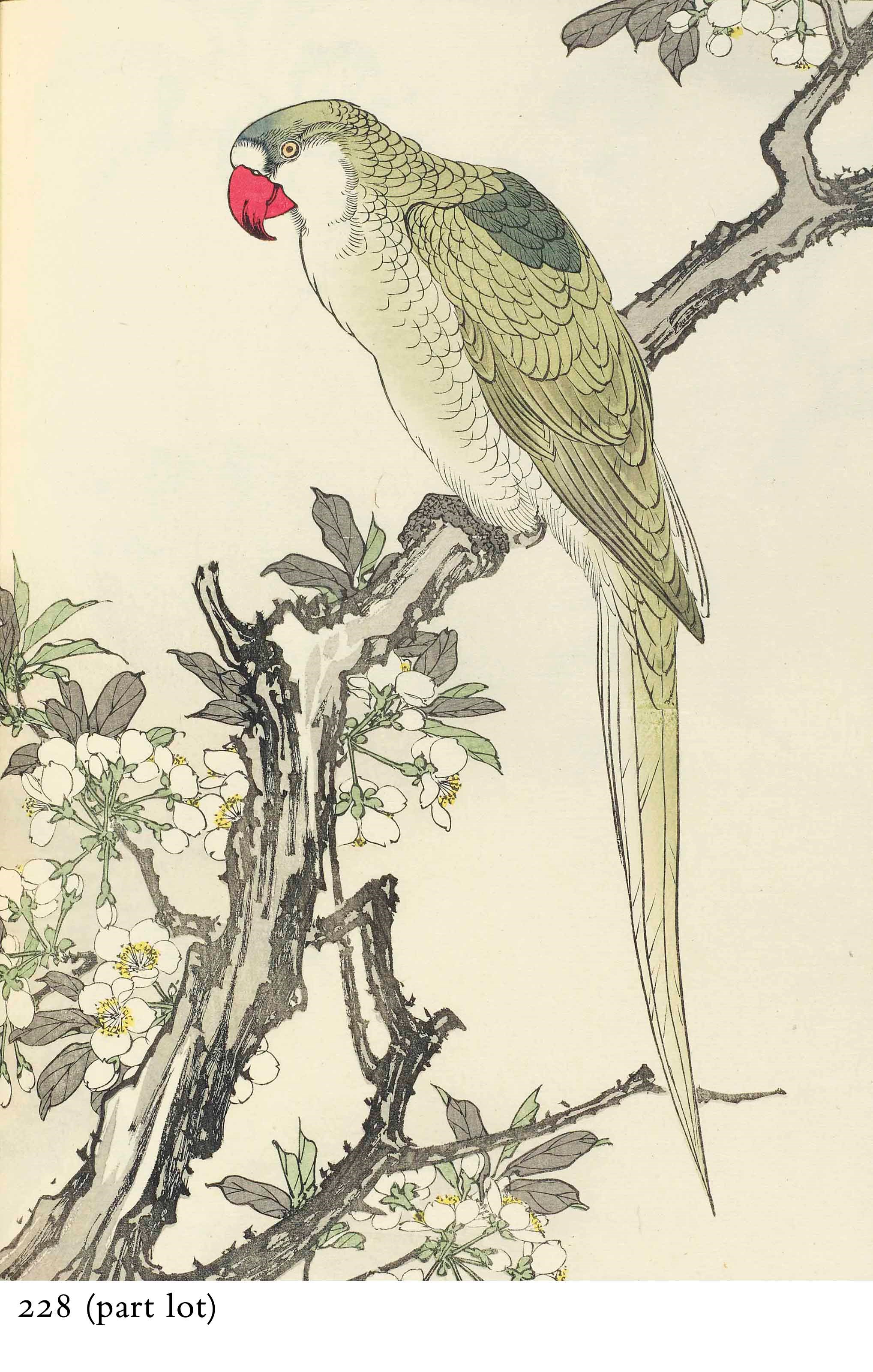 IMAO KEINEN (1845-1924)