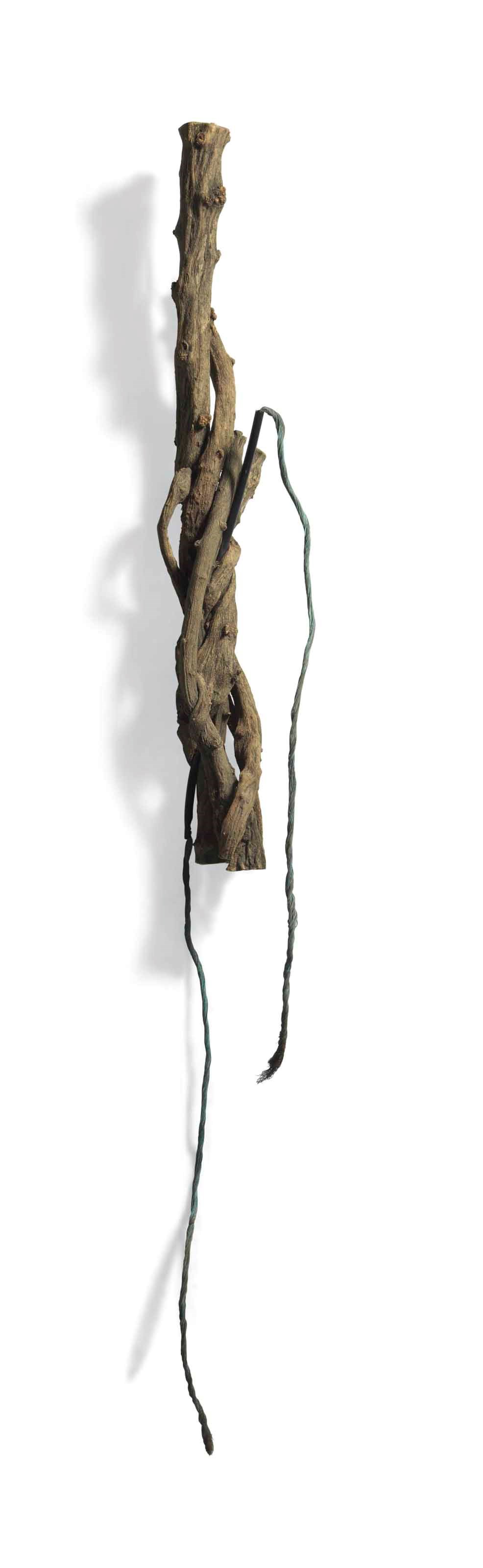 GIUSEPPE PENONE (B. 1947)