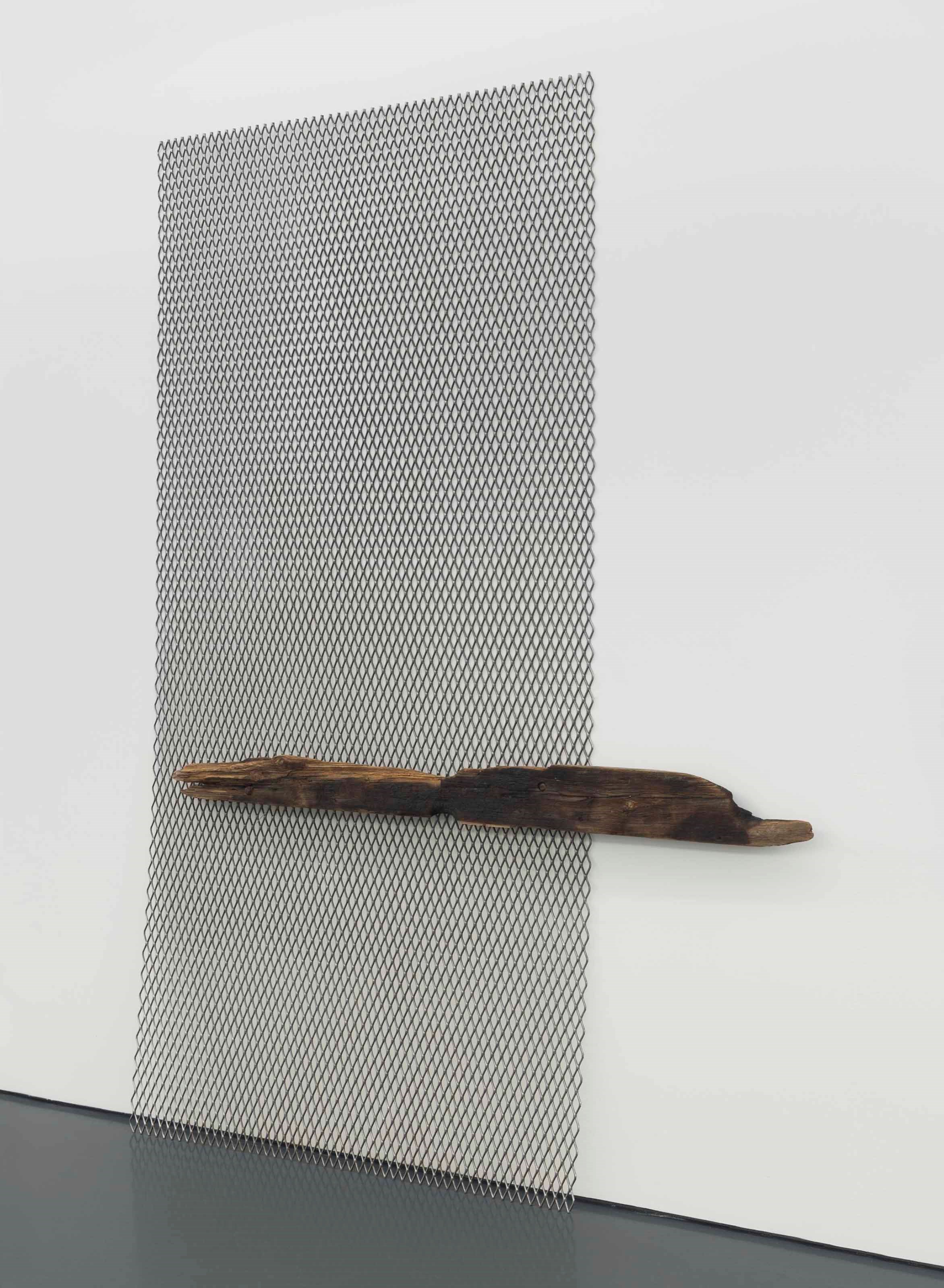 Carol Bove (B. 1971)