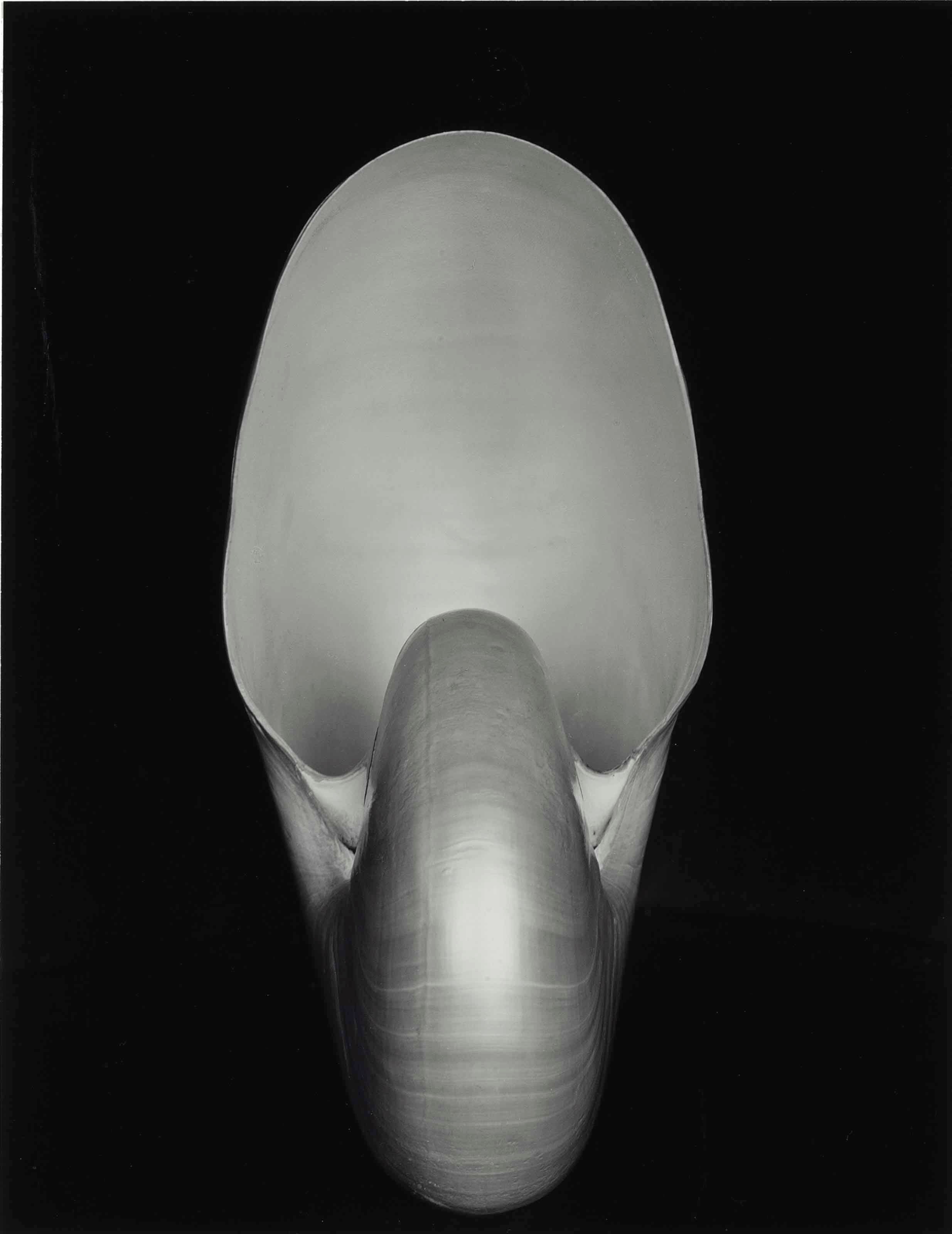 EDWARD WESTON (1886-1958)