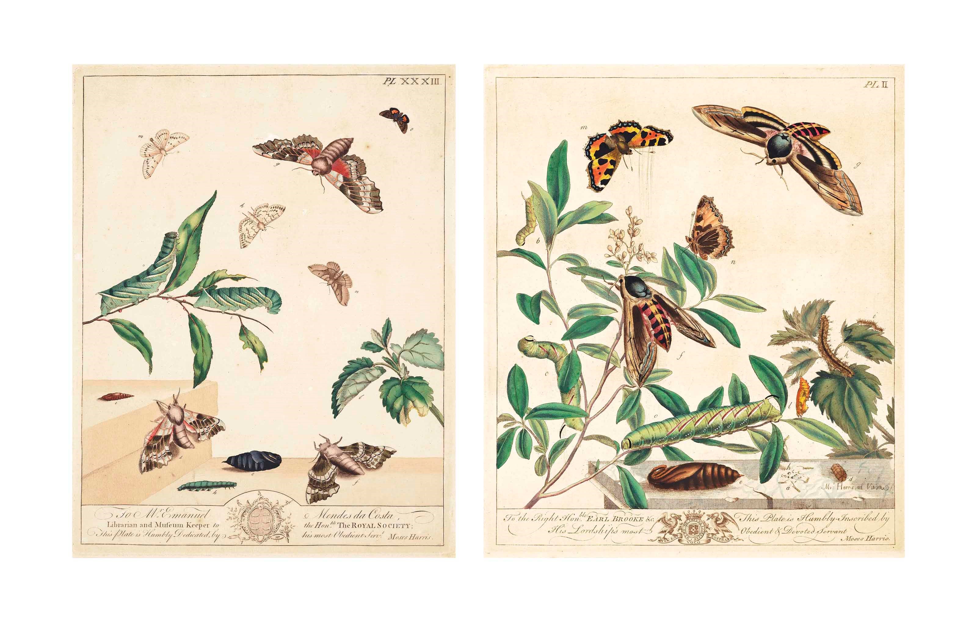 MOSES HARRIS (1731-1785)