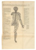 ANDREAS VESALIUS (1514-1564)