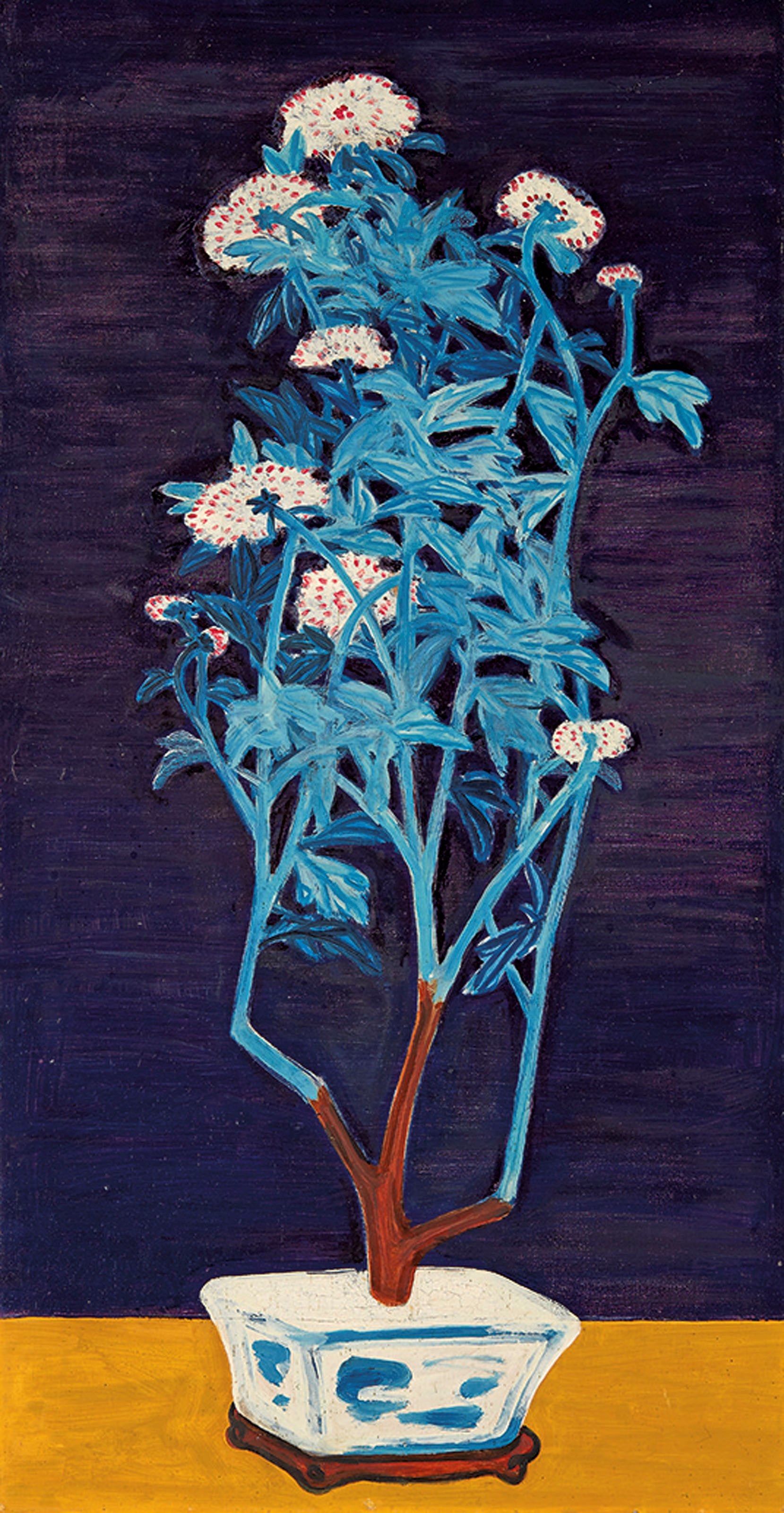静月莹菊