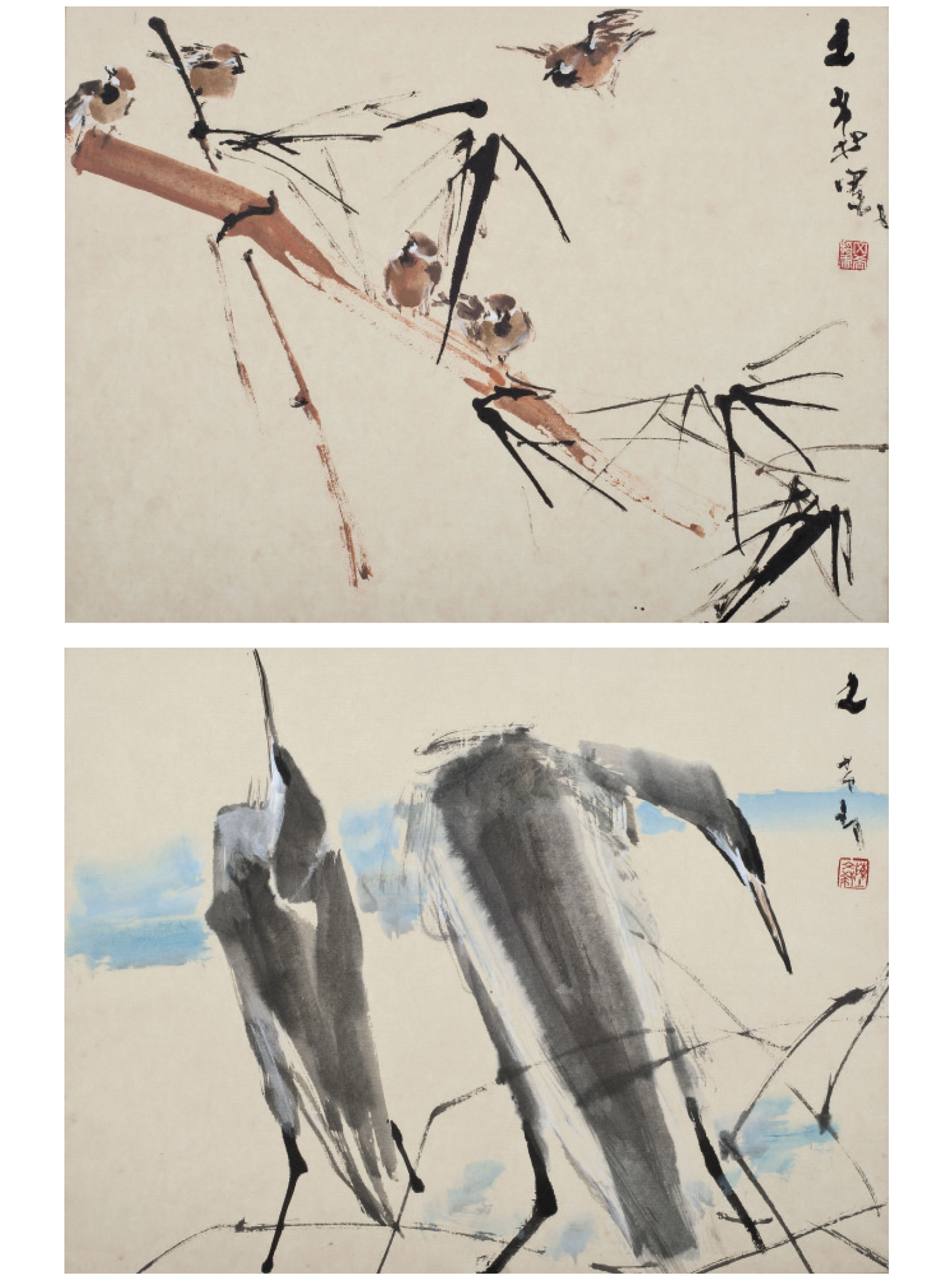 苍鹭及麻雀