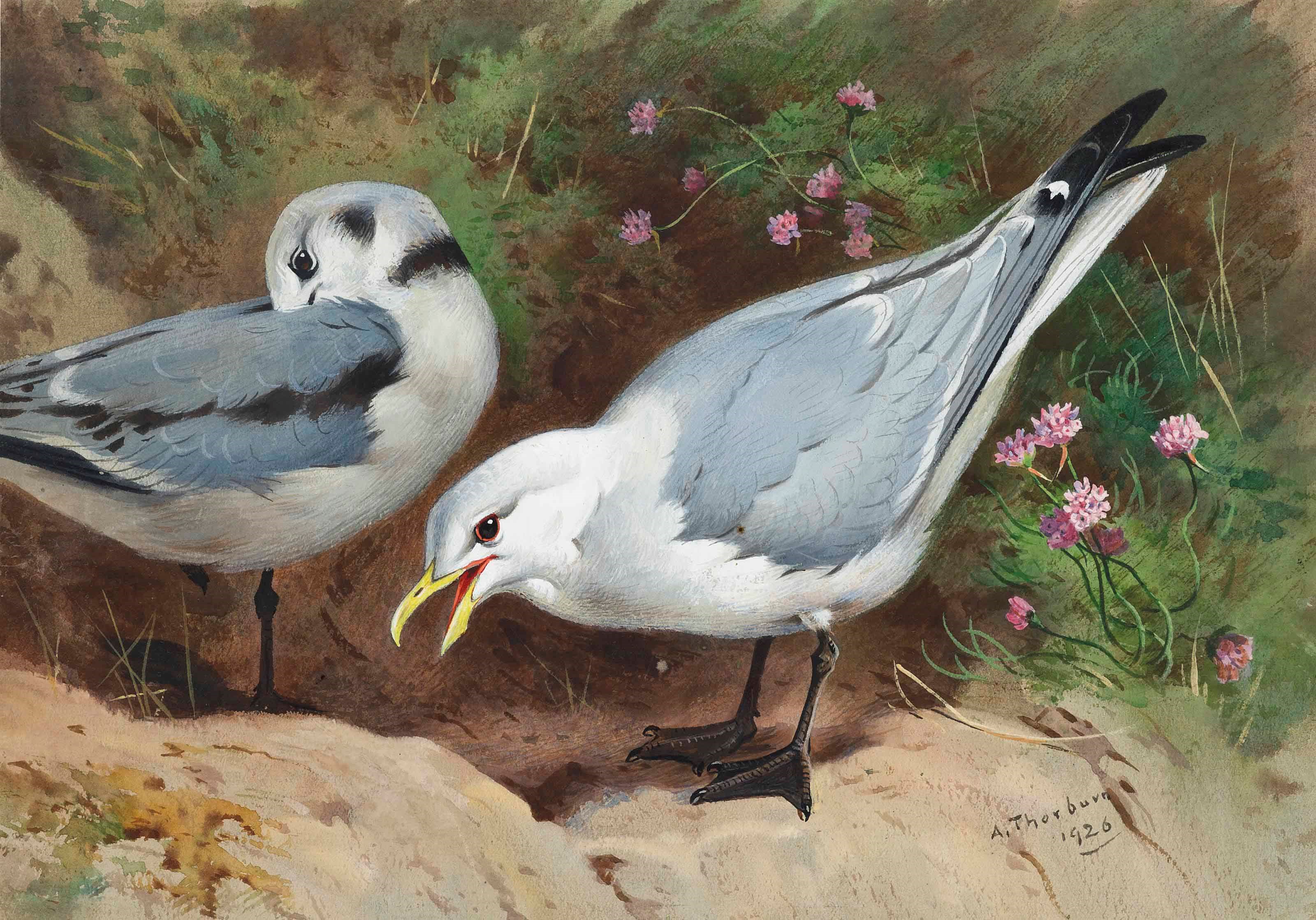 Archibald Thorburn (1860-1935)