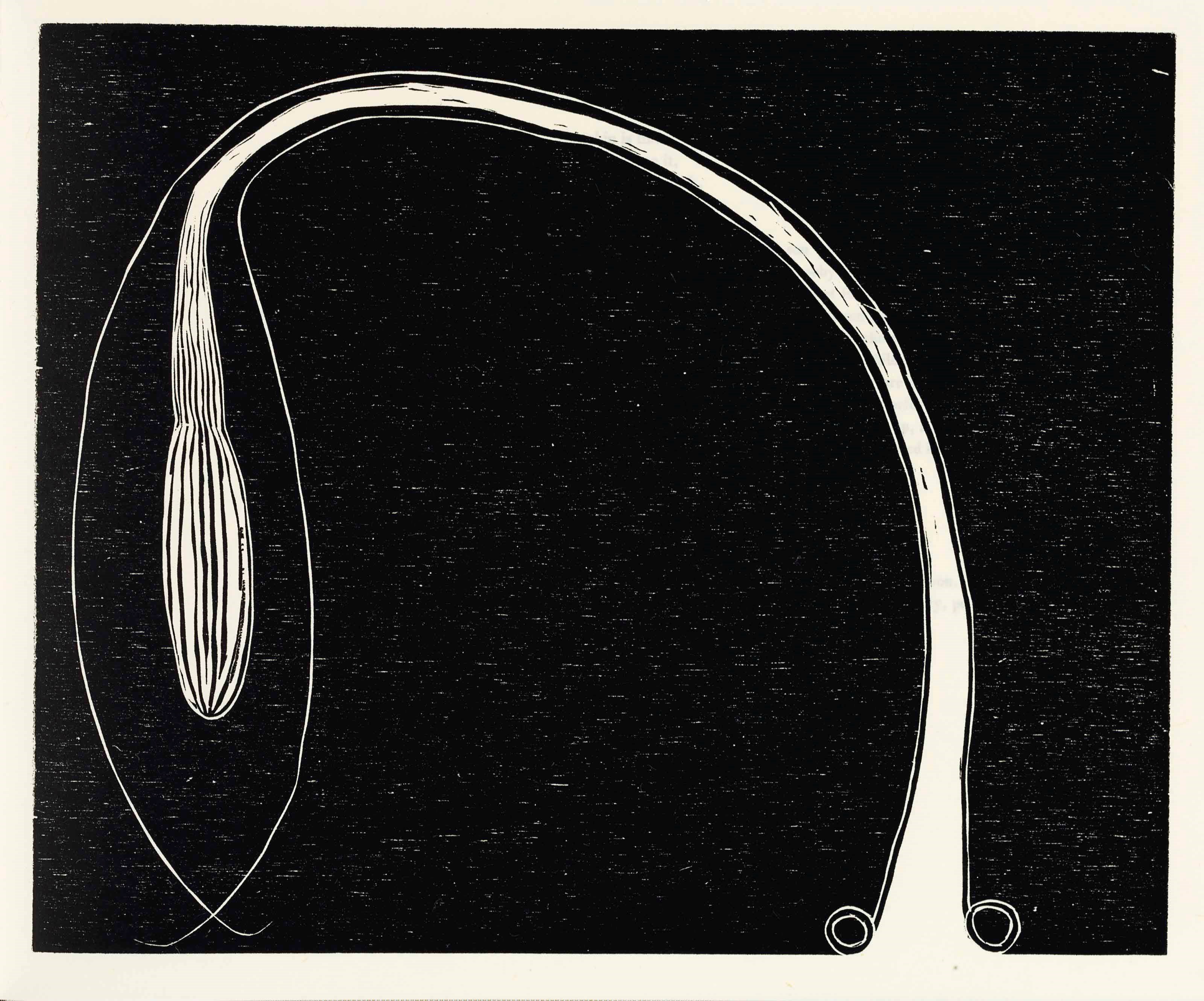 MARTIN PURYEAR (B. 1941)