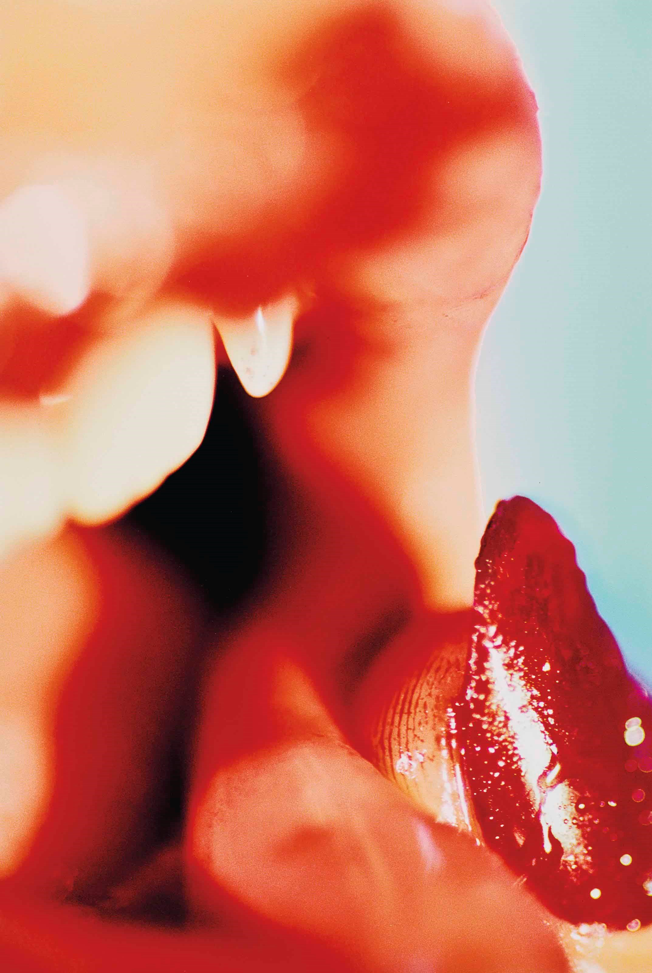 MARILYN MINTER (b. 1948)