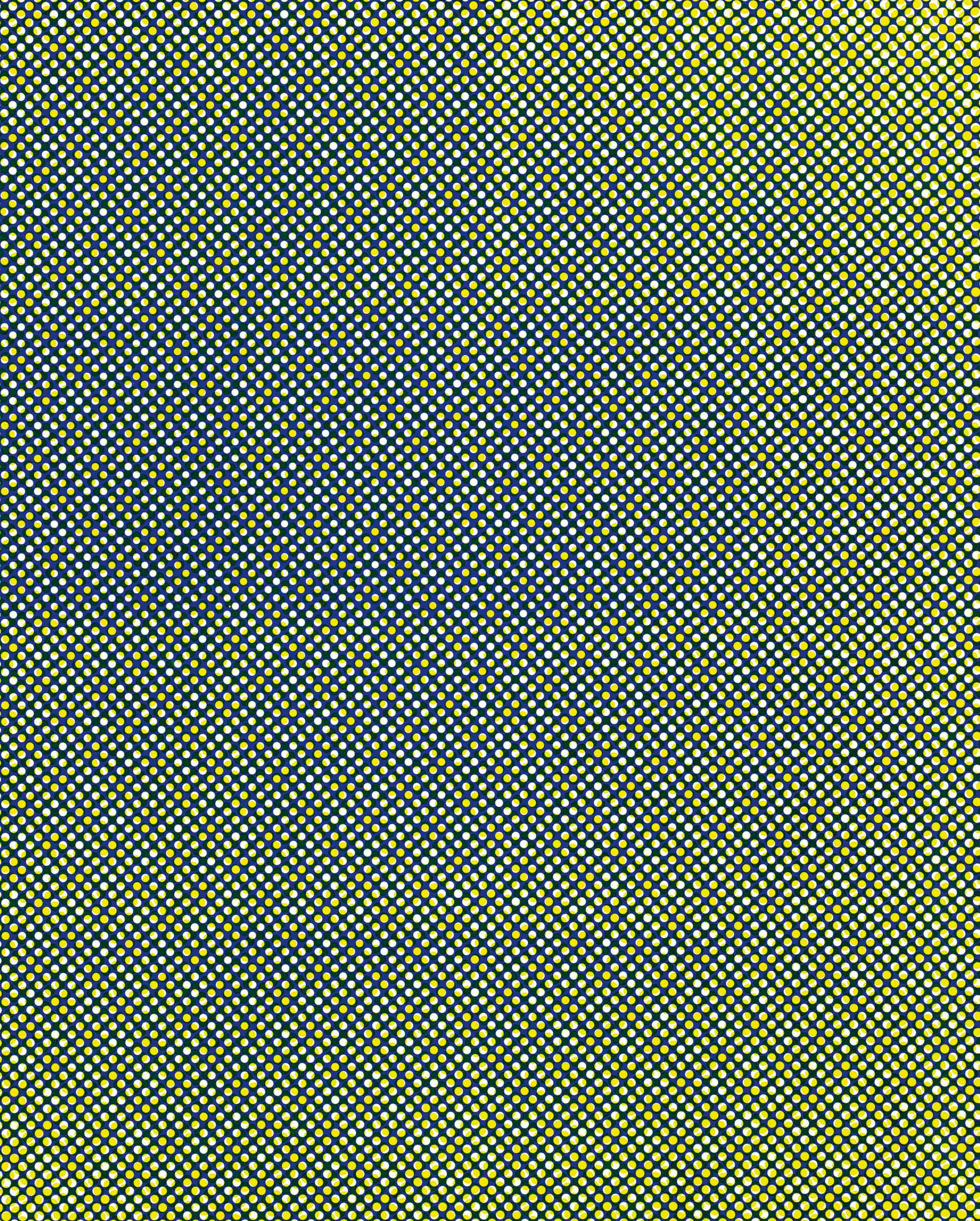 TAUBA AUERBACH (b. 1981)