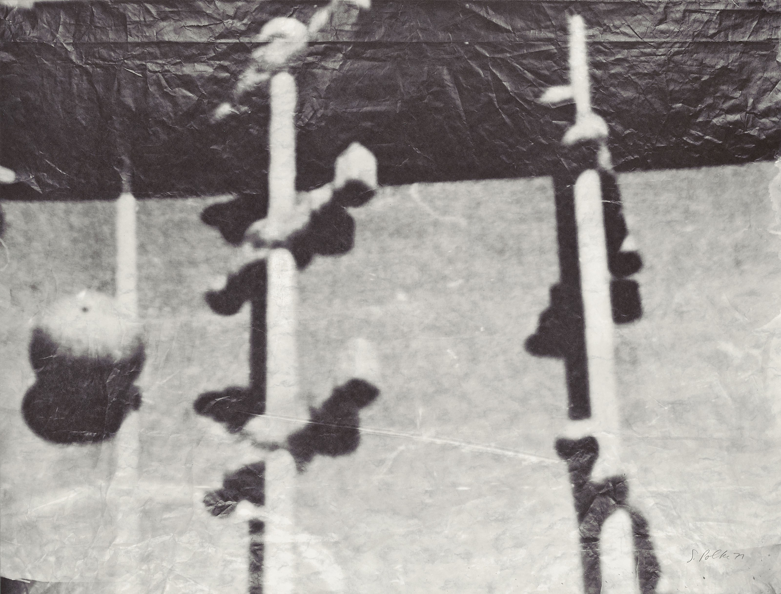 Sigmar Polke (1941-2010)