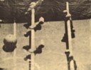 Sigmar Polke (1941-2010)