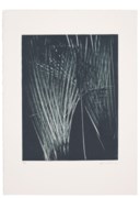 Hans Hartung (1904-1989)