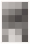 Christopher Wool