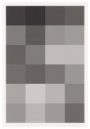 Christopher Wool