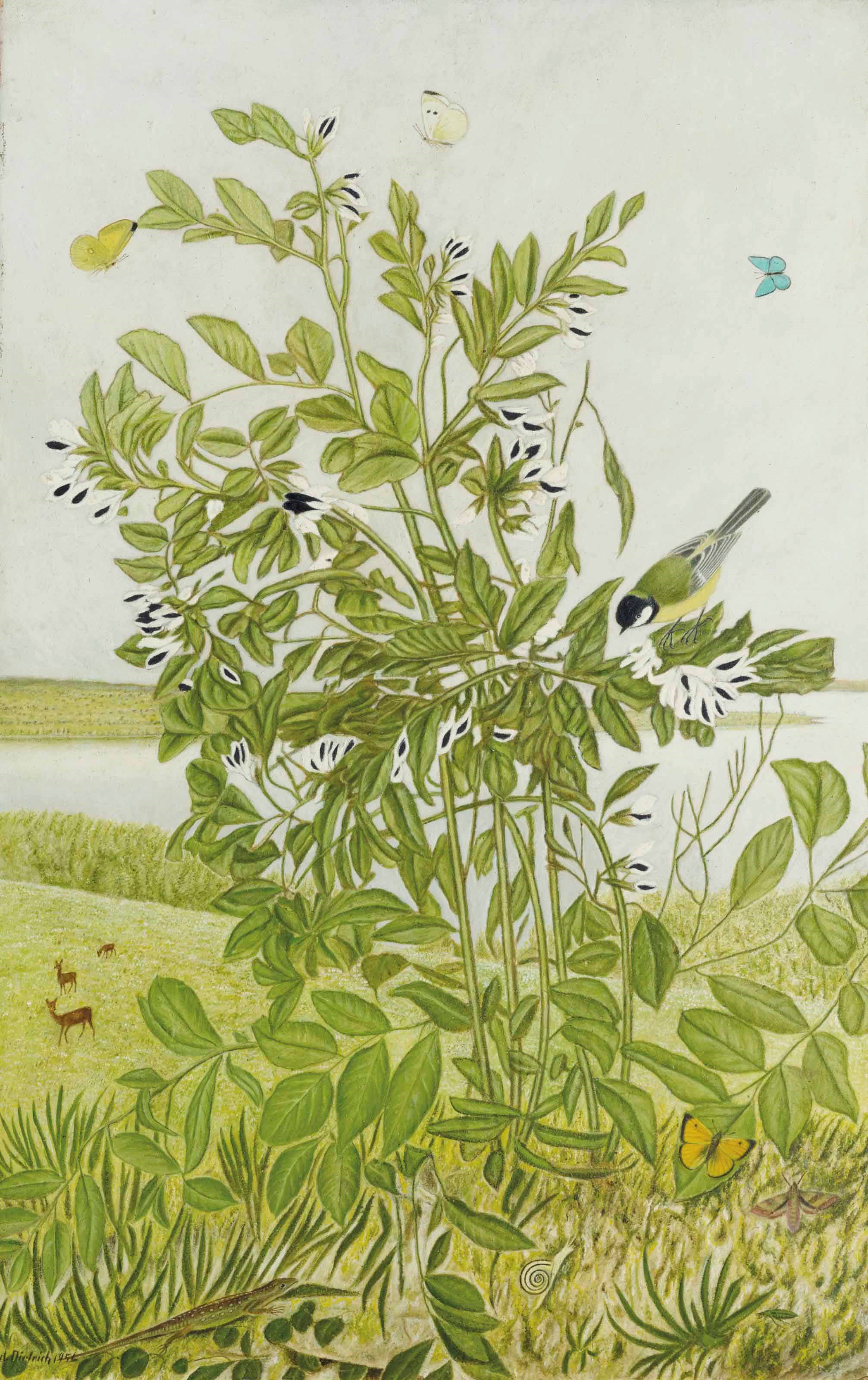 ADOLF DIETRICH (1877-1957)