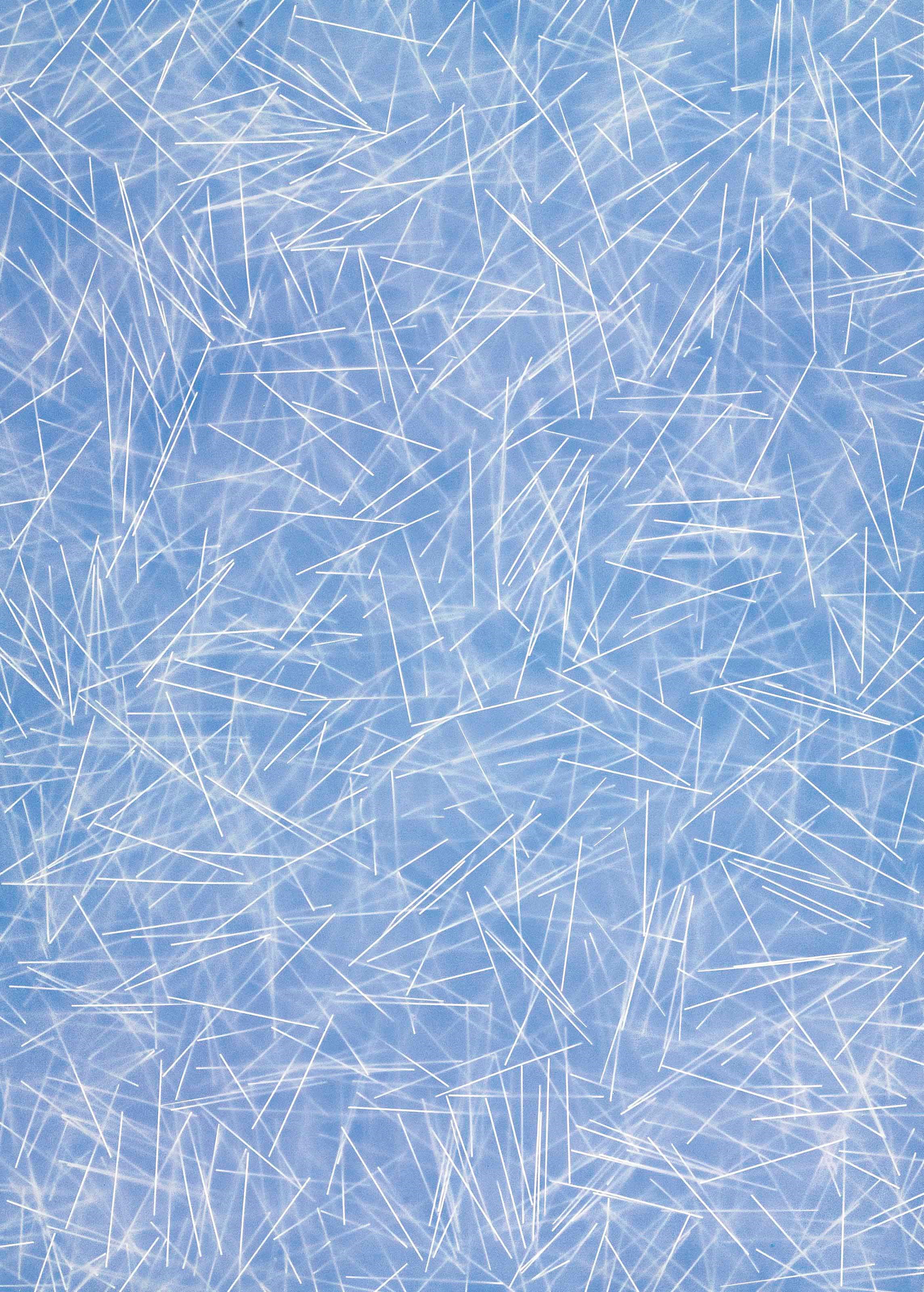 Scott Reeder (B. 1970)