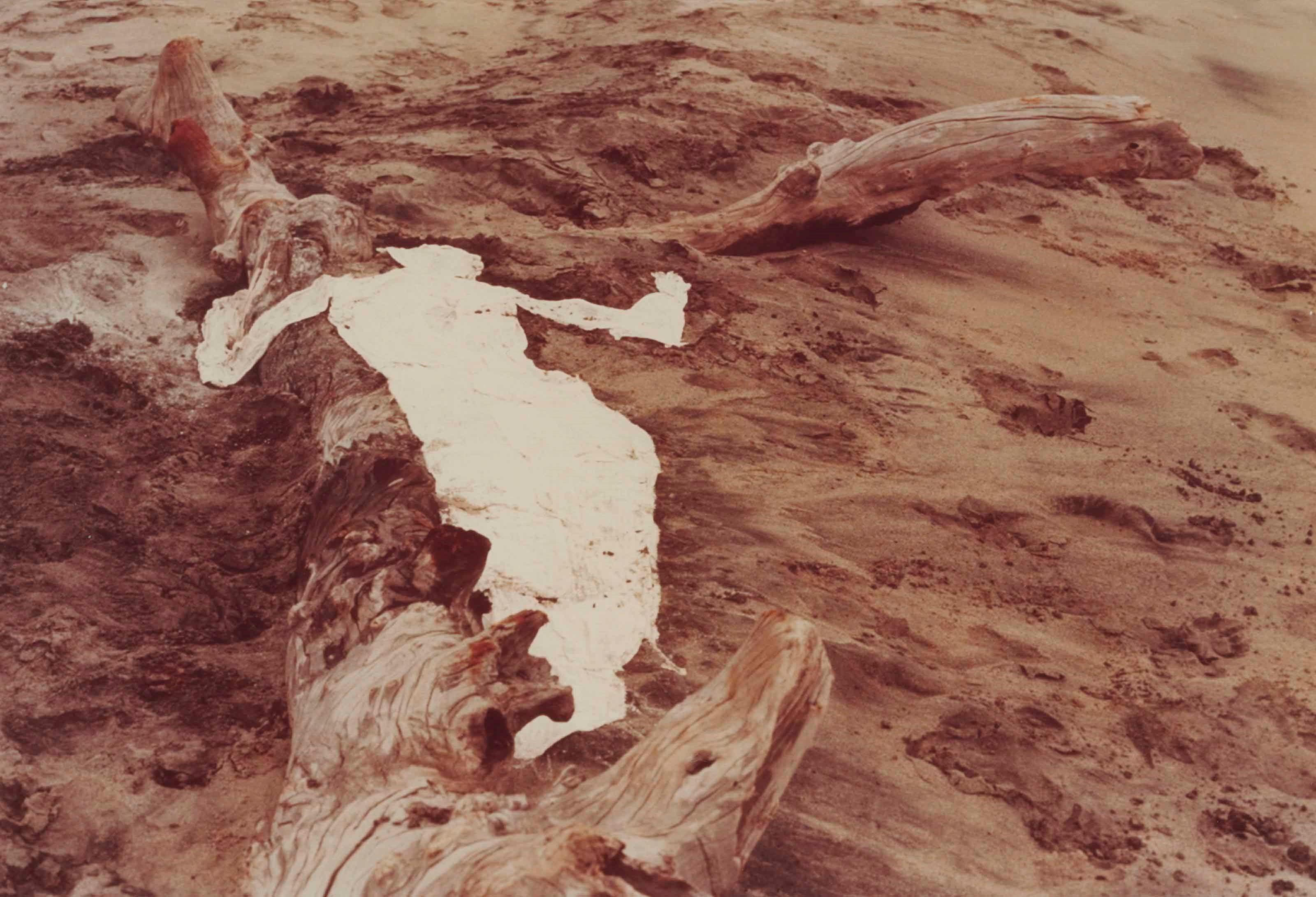 Ana Mendieta (1948-1985)