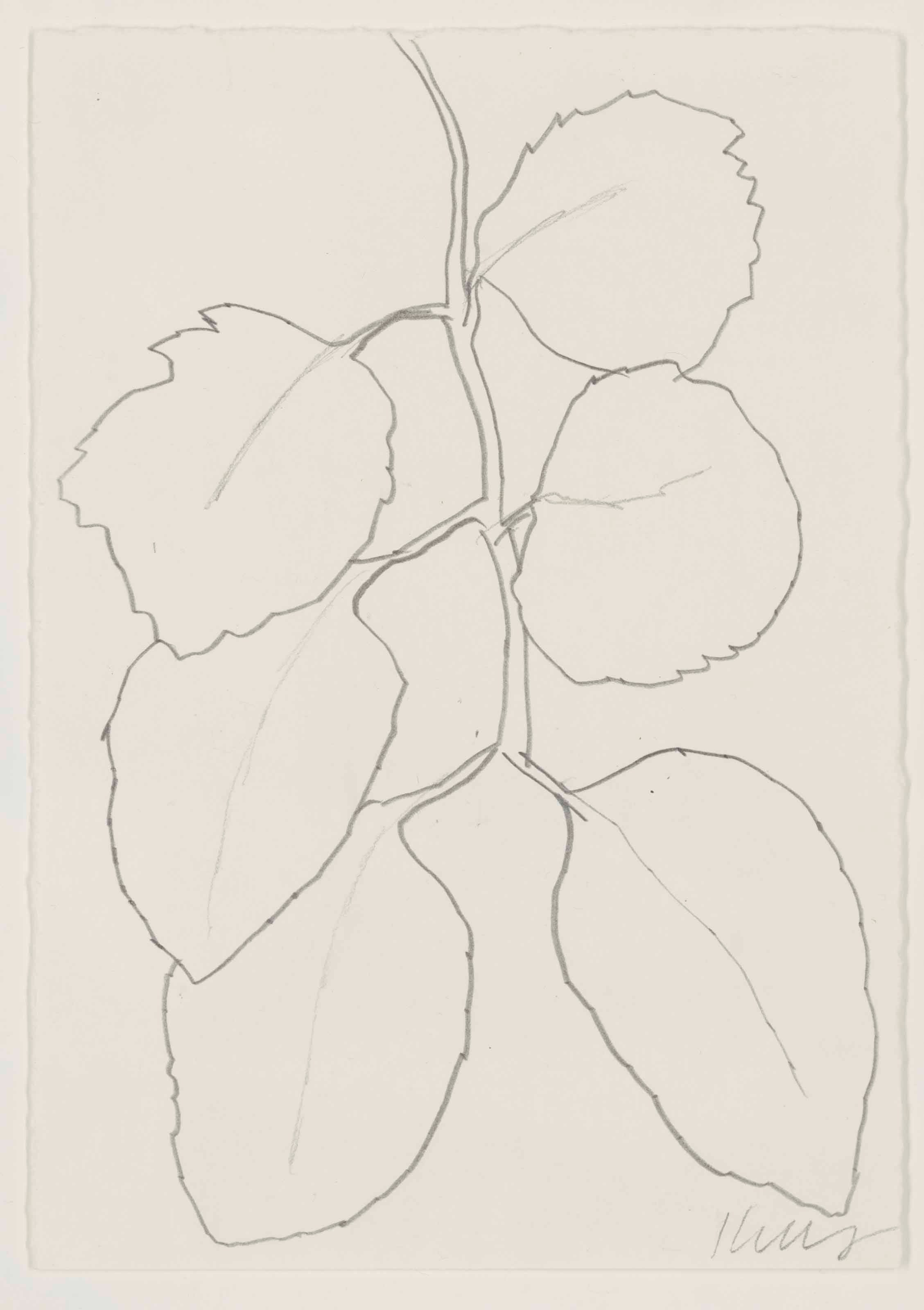 Ellsworth Kelly (B. 1923)