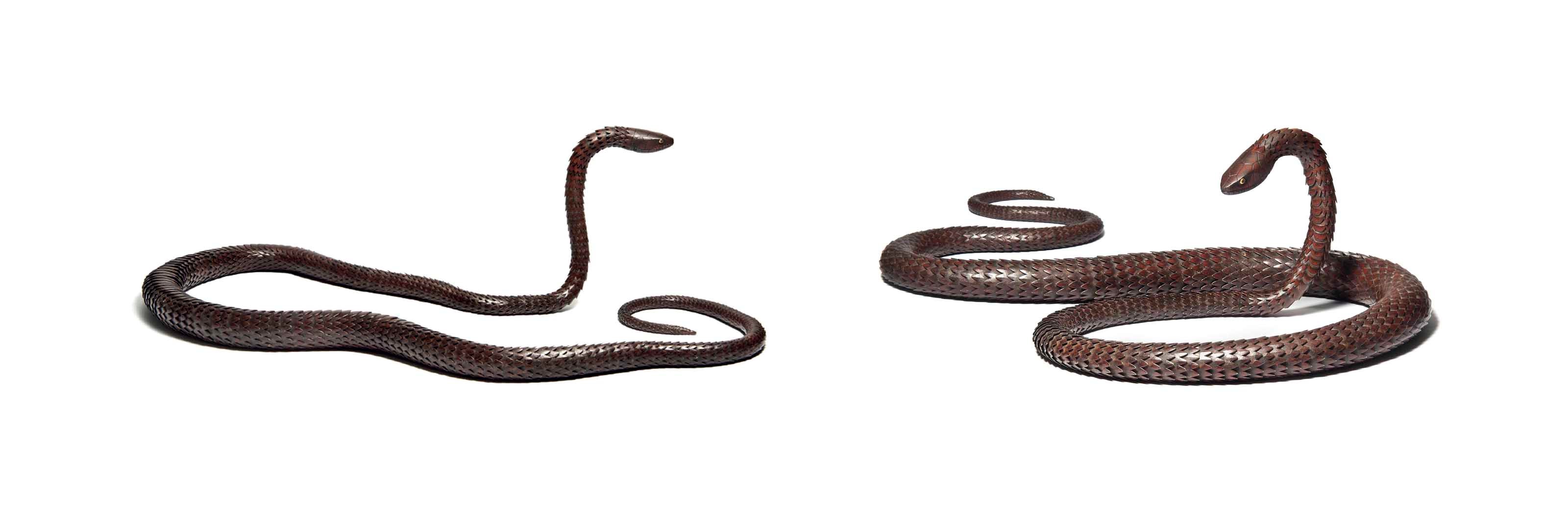 An Iron Articulated Snake